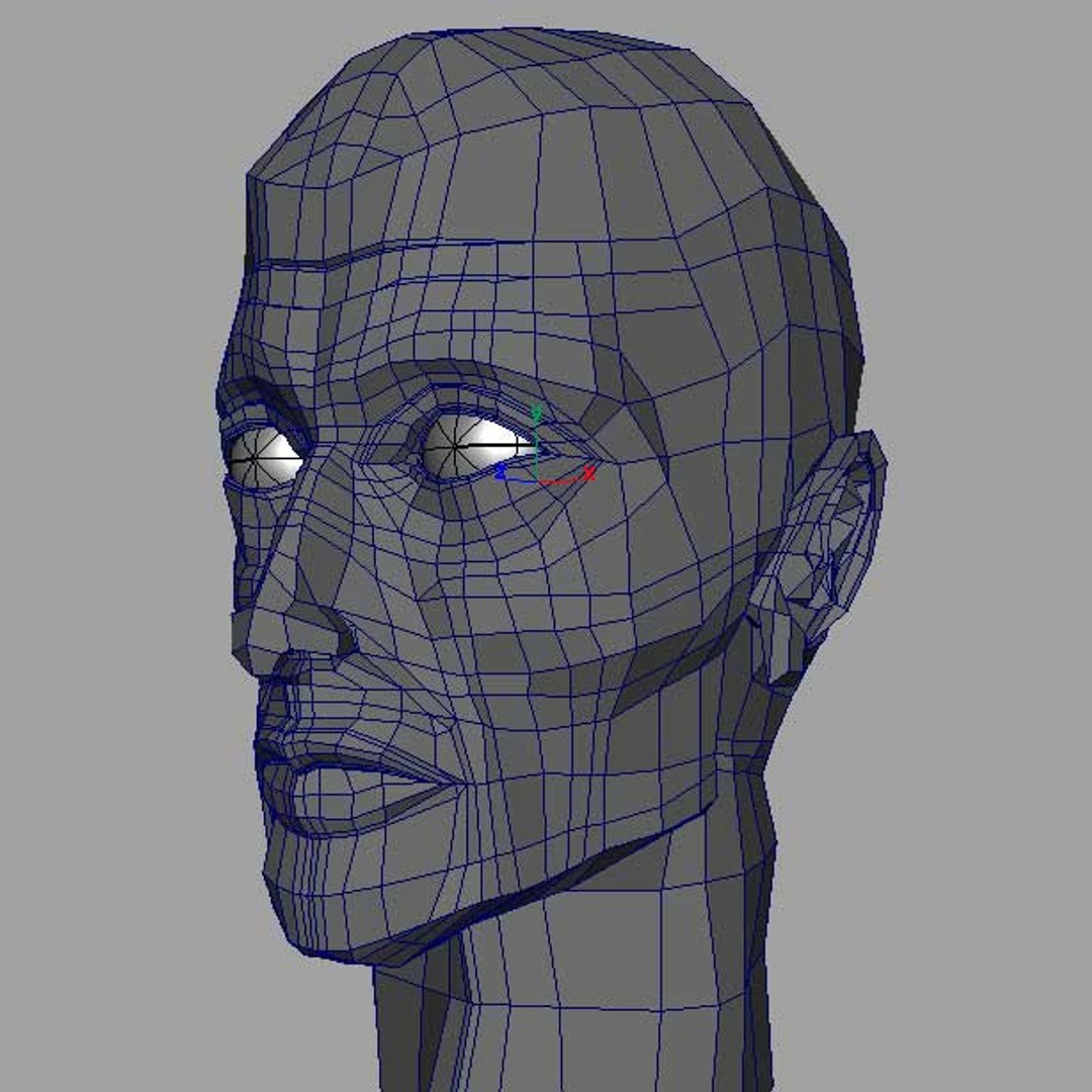 head 3d ma