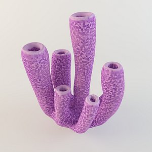 Coral tube