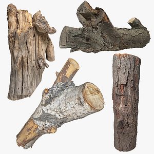 Tree broken withered roots 3D model - TurboSquid 1485759