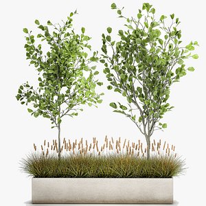 3D Plants for outdoor and landscaping 1066