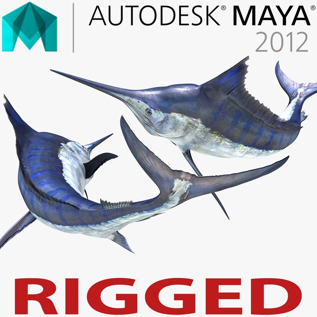 Blue Marlin Rigged for Maya 3D model preview