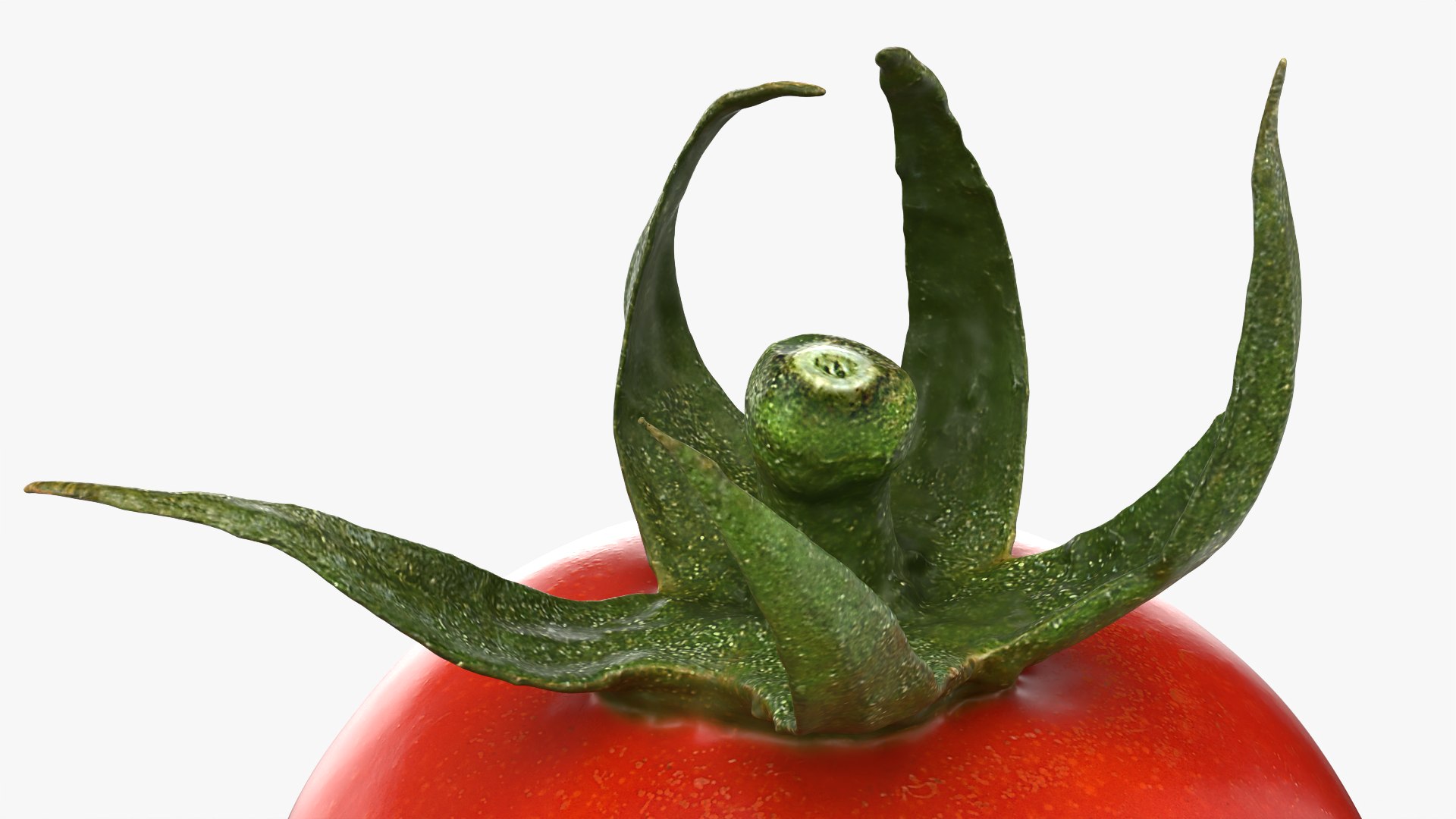3D Cherry Tomato With Stem - 3D Scanned model https://p.turbosquid.com/ts-thumb/uZ/g389e7/f6/cherrytomato02_0007/png/1784401906/1920x1080/fit_q87/d5f153975423ec124b64ed0e3c375ac6f52c4cc4/cherrytomato02_0007.jpg