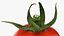 Pomodoro ciliegino con gambo - Scansione 3D