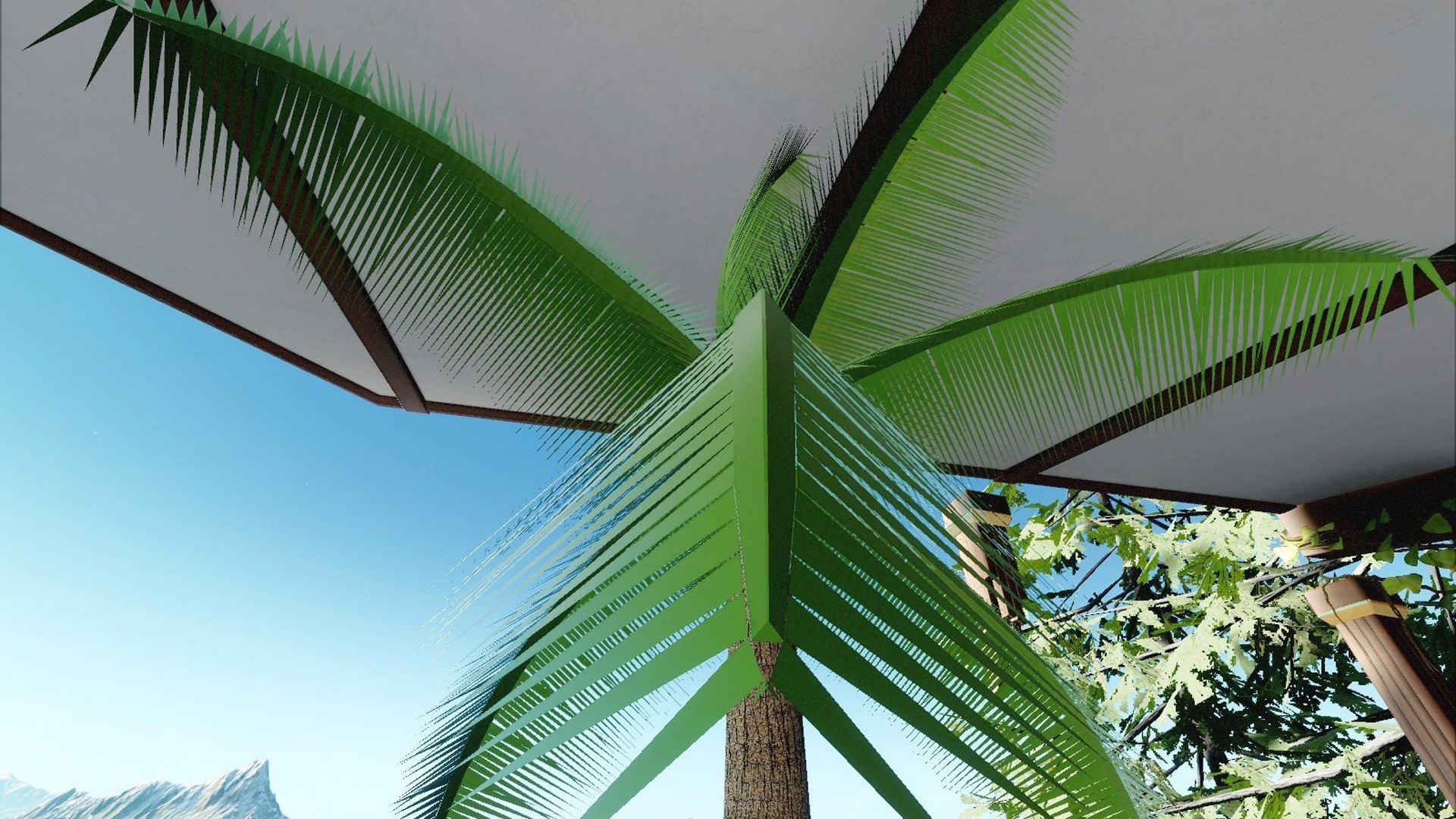 3d Model Palm Tree
