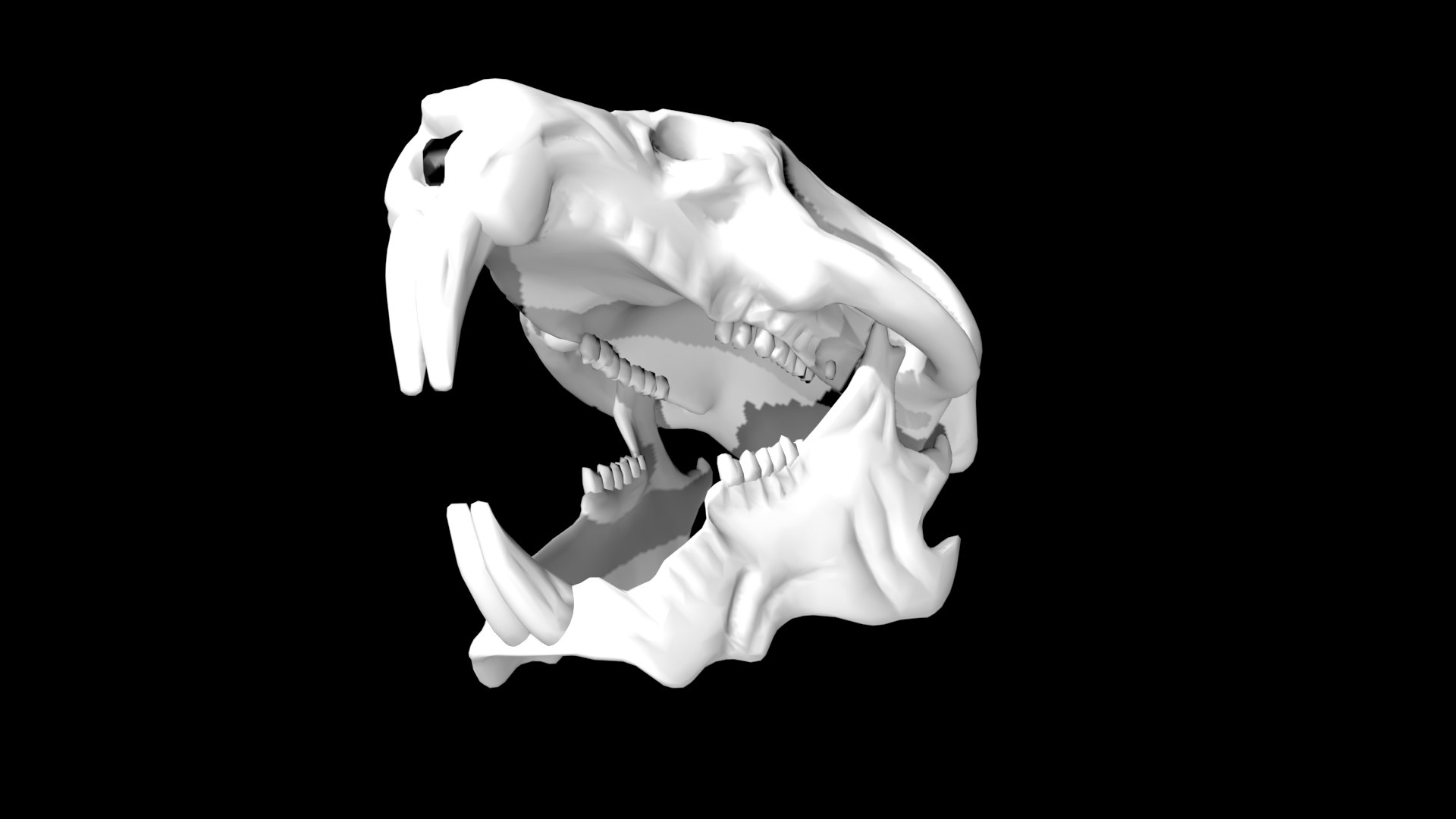 Rigged Rat Skull 3D Model - TurboSquid 1859085