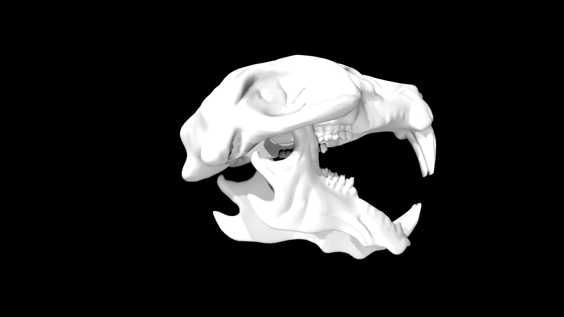 Rigged Rat Skull 3D Model - TurboSquid 1859085