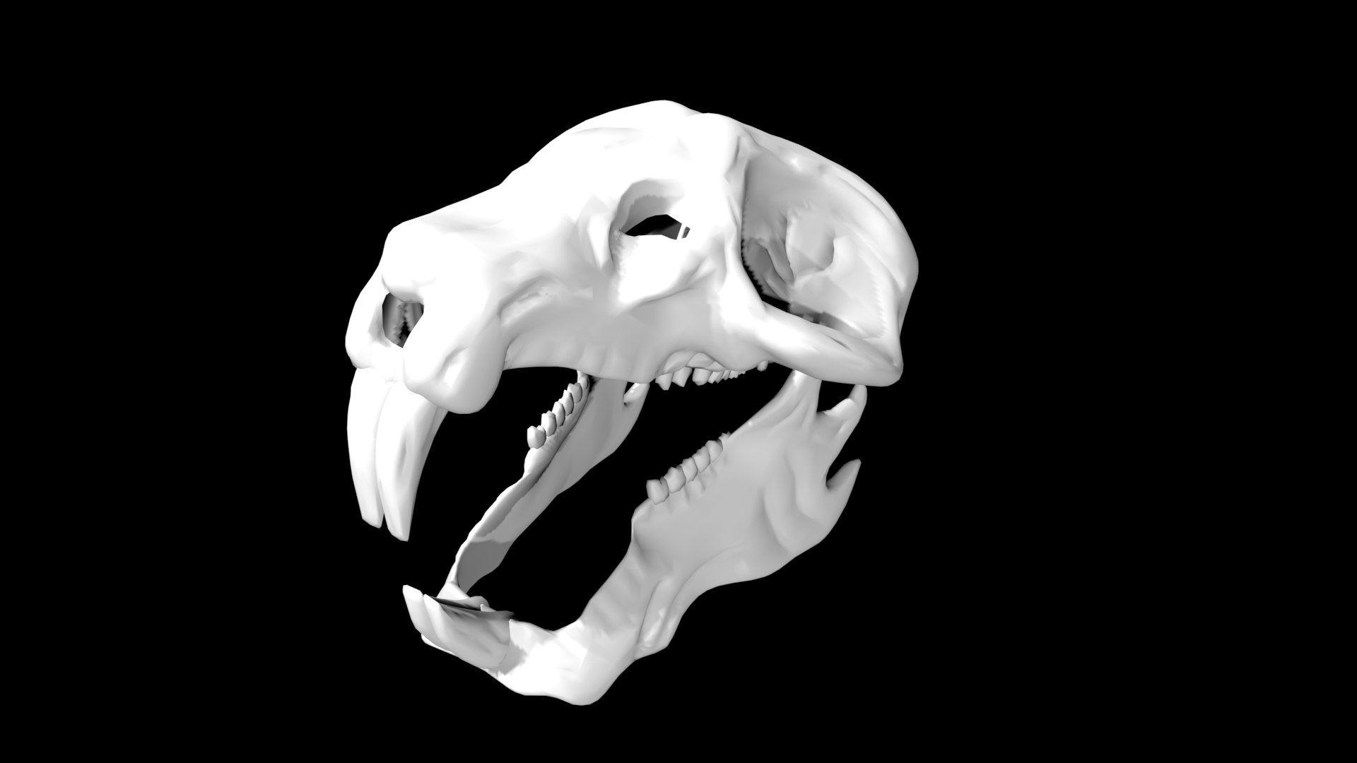 Rigged Rat Skull 3d Model Turbosquid 1859085