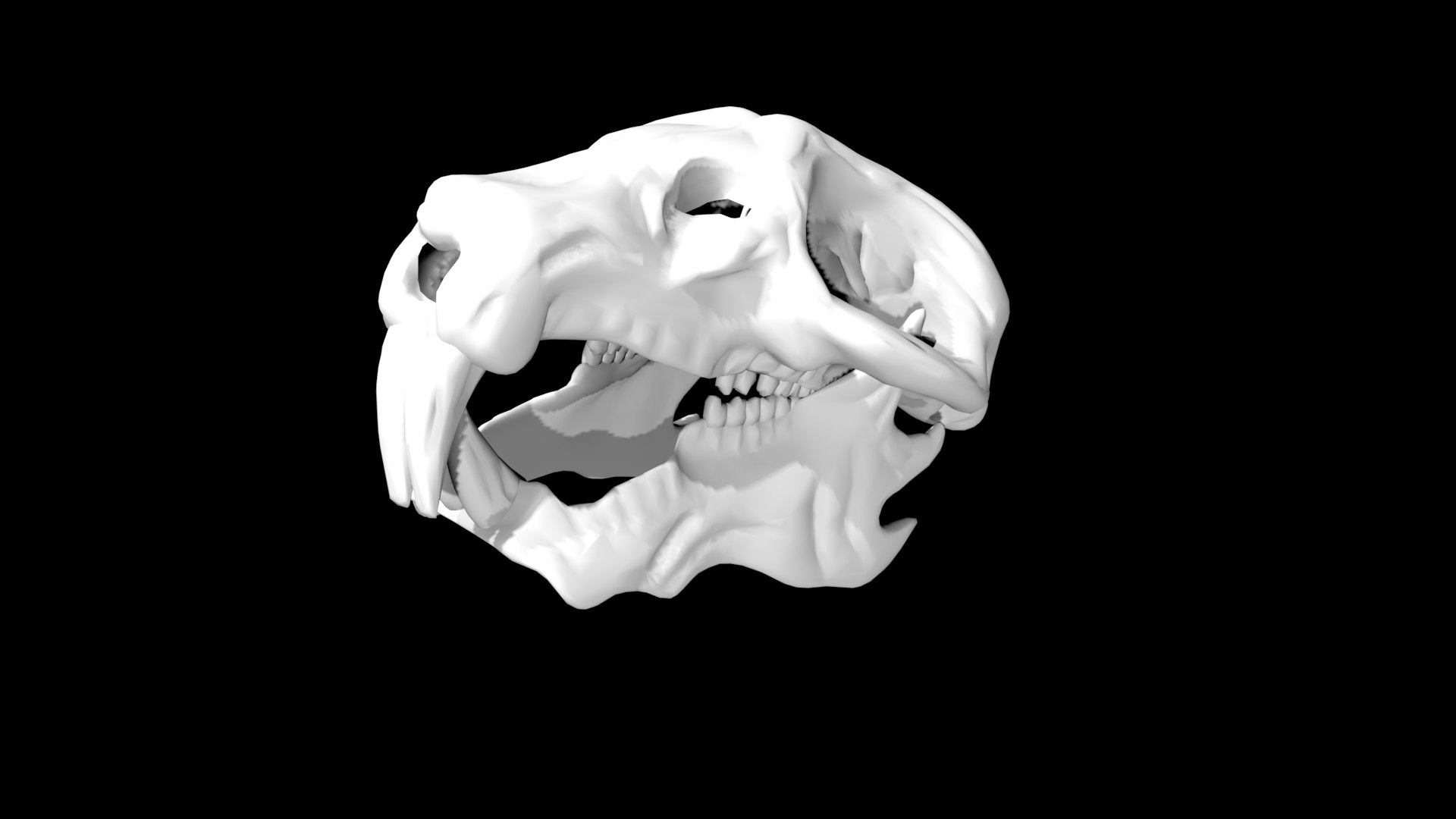 Rigged Rat Skull 3D Model - TurboSquid 1859085