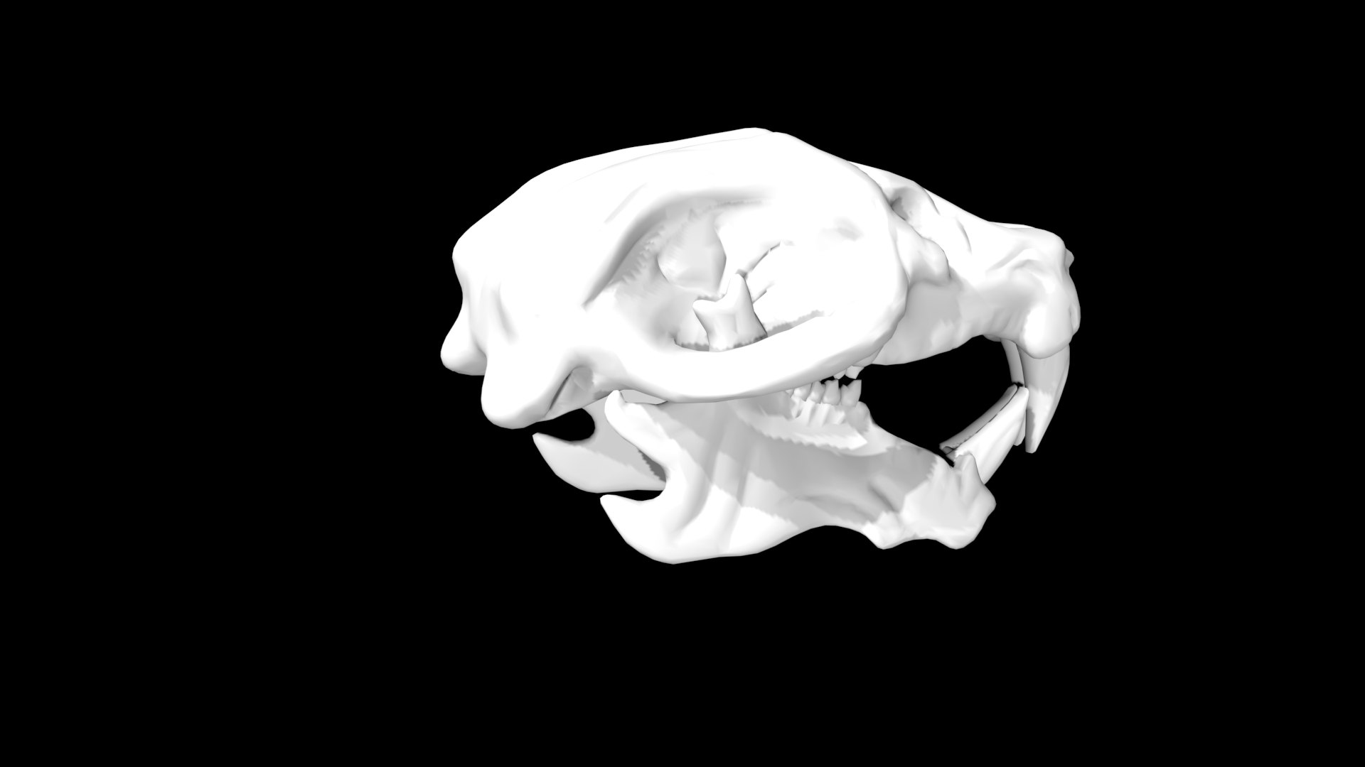 Rigged Rat Skull 3D Model - TurboSquid 1859085
