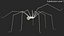 Long-legged House Spider Rigged model