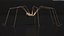 Long-legged House Spider Rigged model