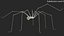 Long-legged House Spider Rigged model