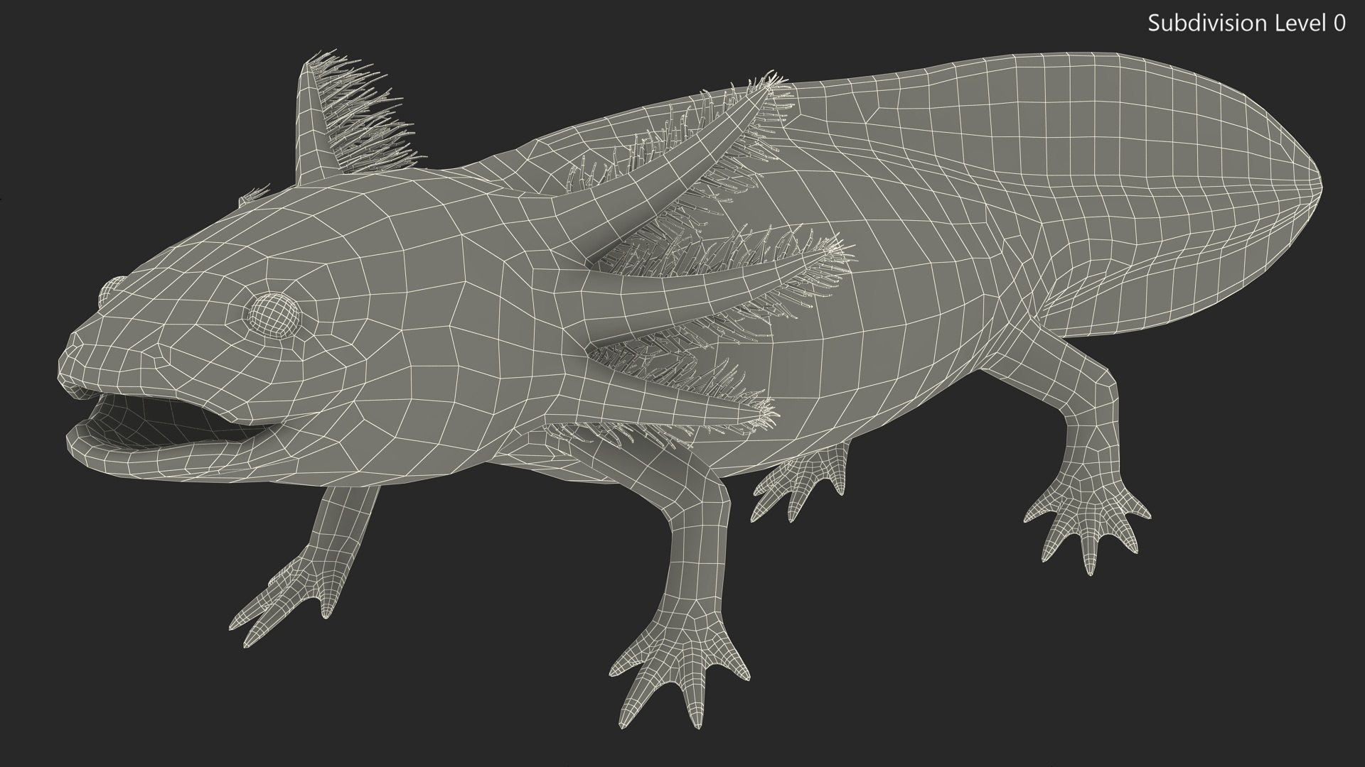 Axolotl Albino Rigged 3D model https://p.turbosquid.com/ts-thumb/uZ/tqMiPw/VV/axolotlalbinoriggedmb3dmodel033/jpg/1711584864/1920x1080/fit_q87/e98f577595043b16c39a4b97b81ea6d51feffa63/axolotlalbinoriggedmb3dmodel033.jpg