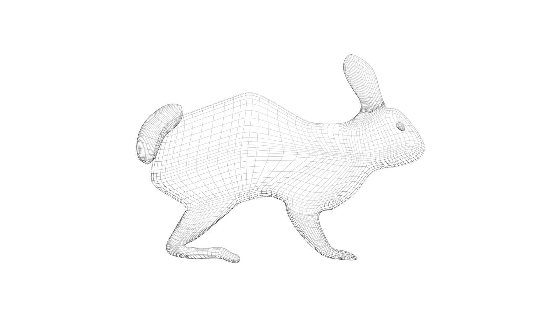 Rabbit 3D Model - TurboSquid 1840843