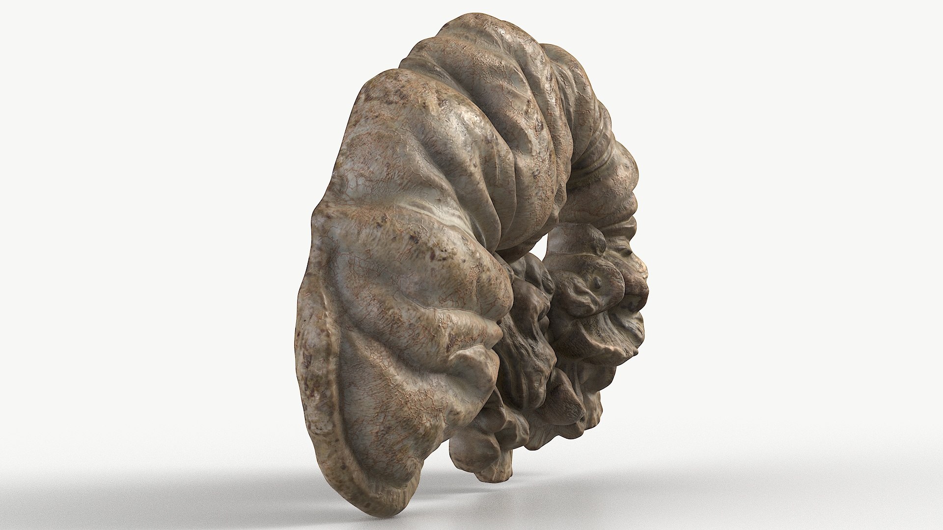 3D Fungus Fossil 110 Textured https://p.turbosquid.com/ts-thumb/ua/3vqp5b/58/1_fungusfossil110textured_camera_4/jpg/1730361575/1920x1080/fit_q87/5dda1b358fb28a9071bbc8b07c961e9a1cb640a8/1_fungusfossil110textured_camera_4.jpg