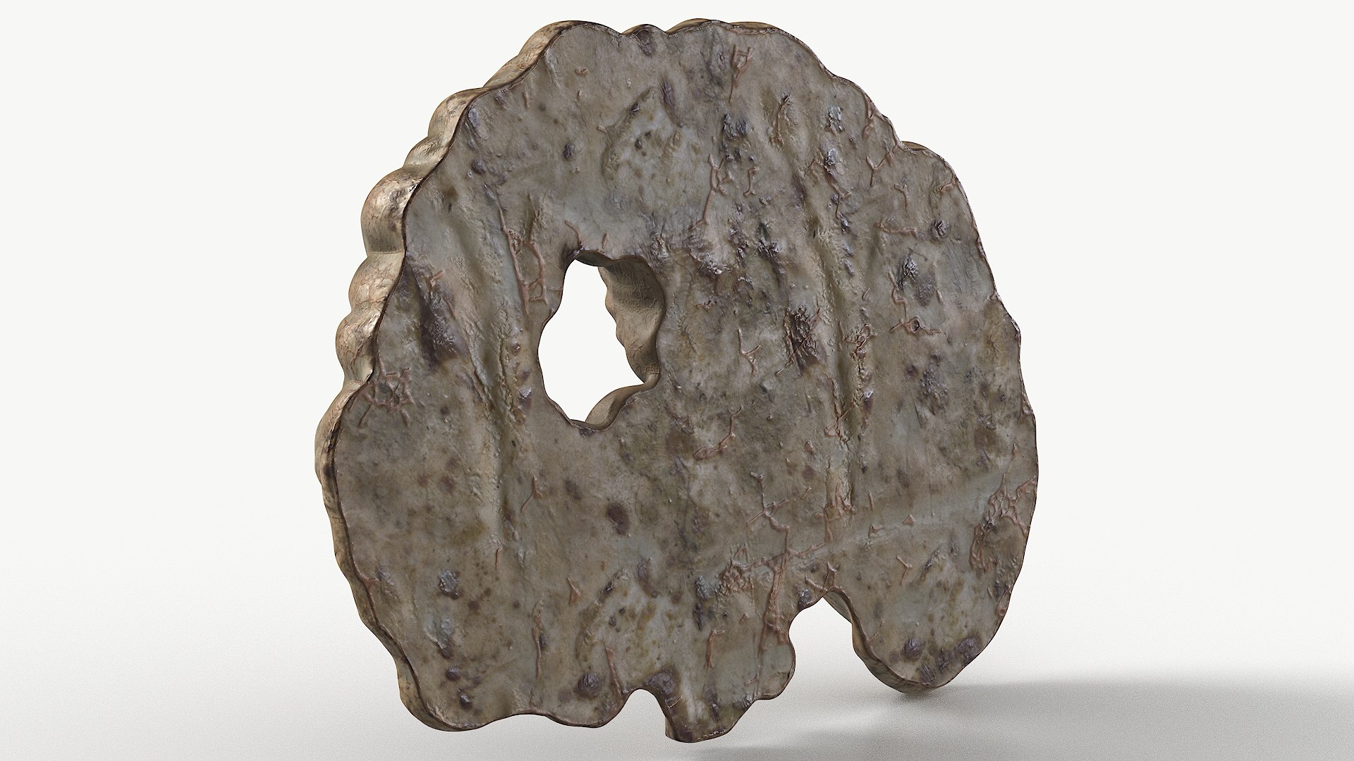 3D Fungus Fossil 110 Textured https://p.turbosquid.com/ts-thumb/ua/3vqp5b/HQ/1_fungusfossil110textured_camera_7/jpg/1730361577/1920x1080/fit_q87/0acb1085d6e5442ac117c3703ced8a02607560d8/1_fungusfossil110textured_camera_7.jpg
