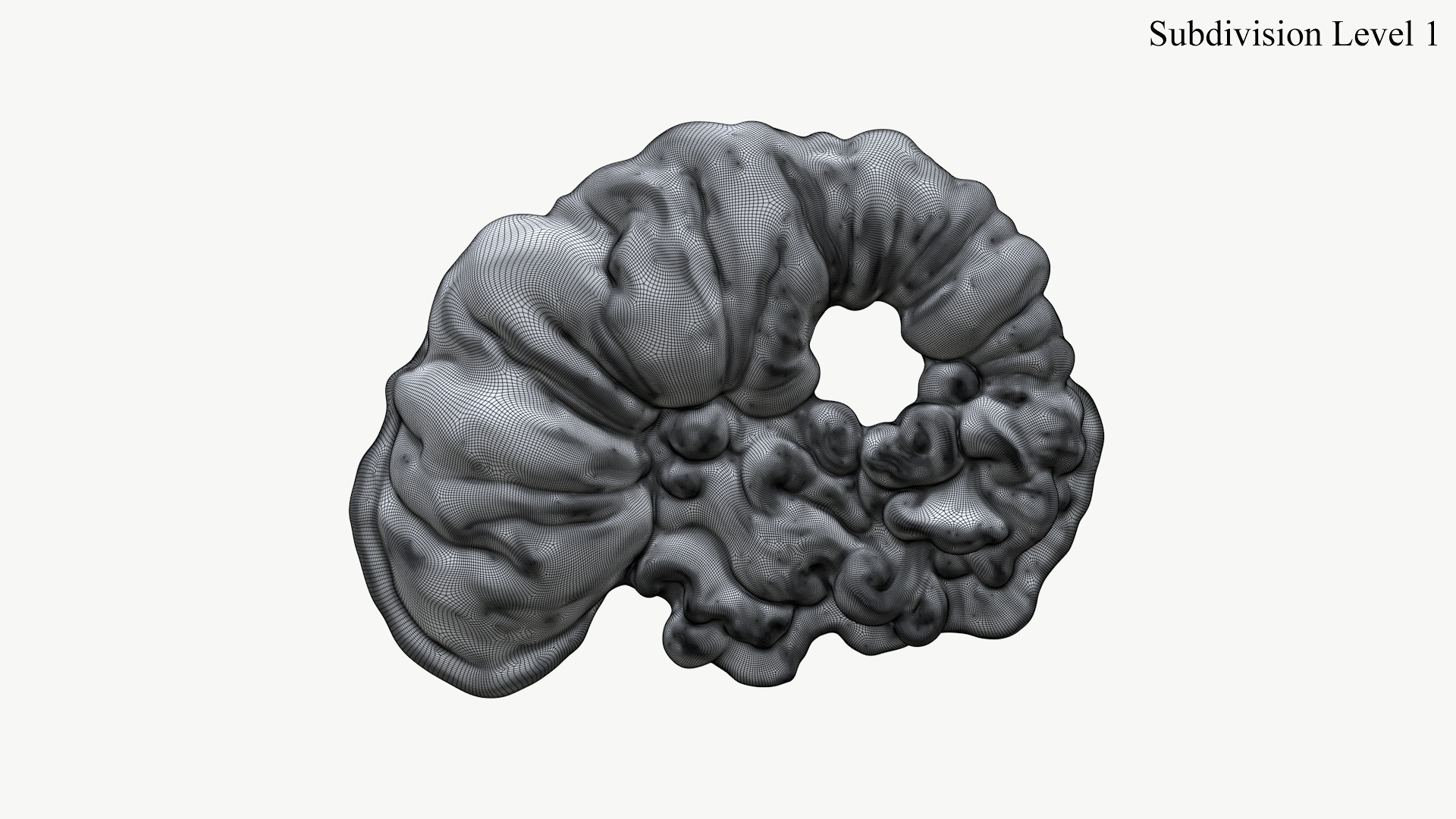 3D Fungus Fossil 110 Textured https://p.turbosquid.com/ts-thumb/ua/3vqp5b/Jw/turntable_sds1_wire/jpg/1730361647/1920x1080/turn_fit_q99/2a43e7056d48274dcb21616e2ff1866100091951/turntable_sds1_wire-1.jpg