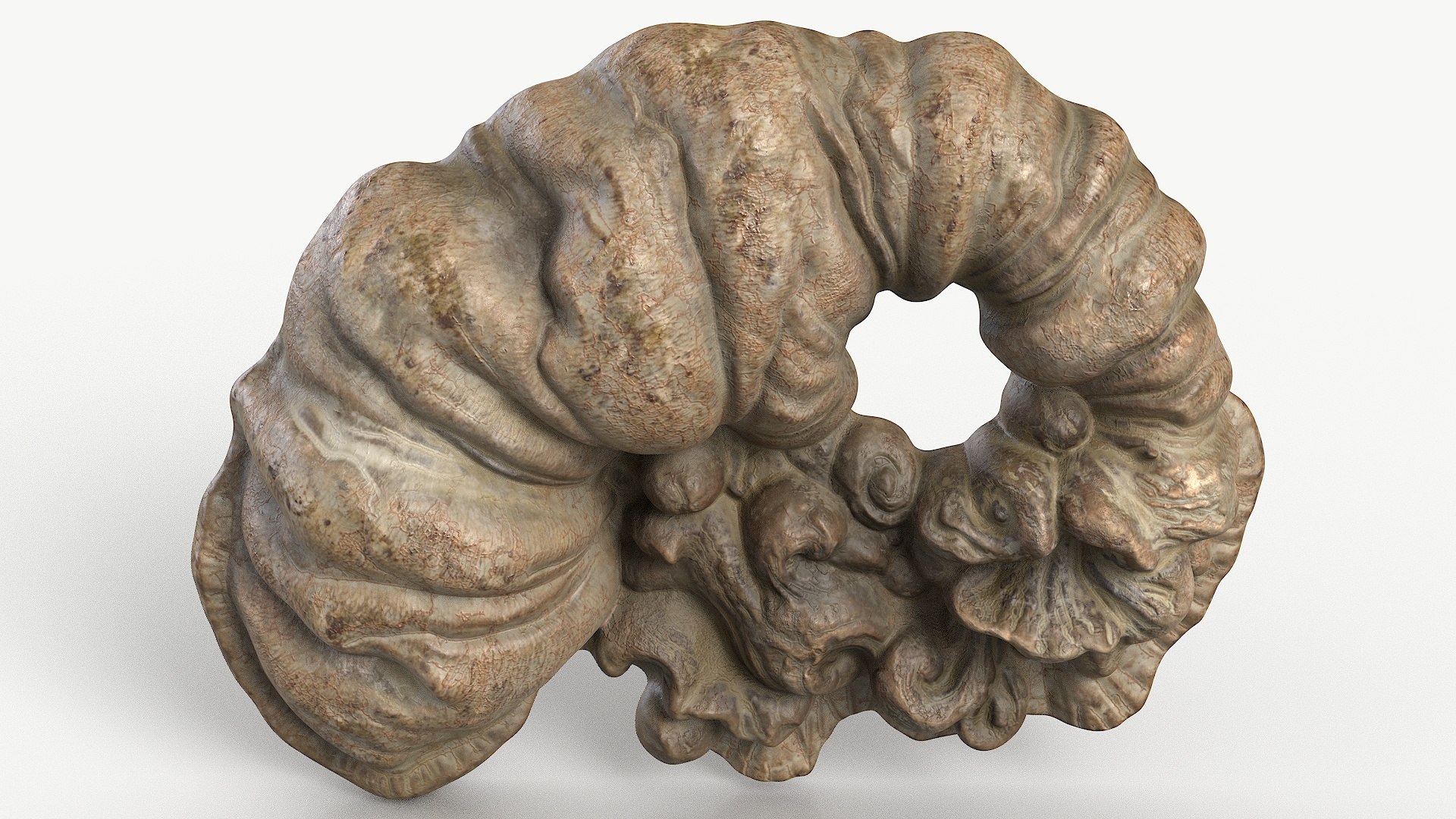 3D Fungus Fossil 110 Textured https://p.turbosquid.com/ts-thumb/ua/3vqp5b/NT/1_fungusfossil110textured_camera_6/jpg/1730361578/1920x1080/fit_q87/cea7c53c608e538a93c90f7c5de6e96984b16ba5/1_fungusfossil110textured_camera_6.jpg