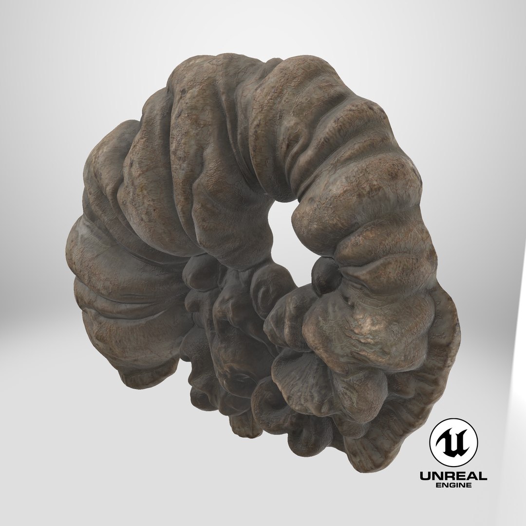 3D Fungus Fossil 110 Textured https://p.turbosquid.com/ts-thumb/ua/3vqp5b/VA/stemcell_unreal_render/png/1730749532/1920x1080/fit_q87/4aff071640e96824f0fa2f42a14a87c15a39cb46/stemcell_unreal_render.jpg