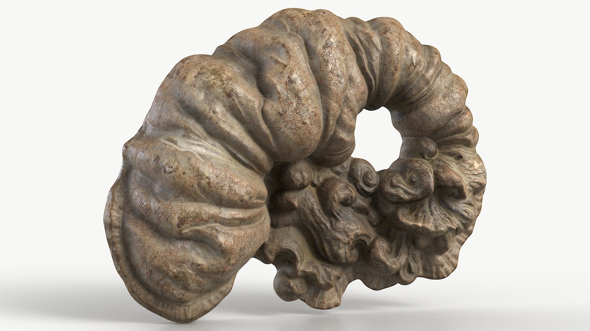 3D Fungus Fossil 110 Textured https://p.turbosquid.com/ts-thumb/ua/3vqp5b/VN/1_fungusfossil110textured_camera_2/jpg/1730361574/1920x1080/fit_q87/cb4c724422dd2f4587c0e1530416d0a9d793f142/1_fungusfossil110textured_camera_2.jpg