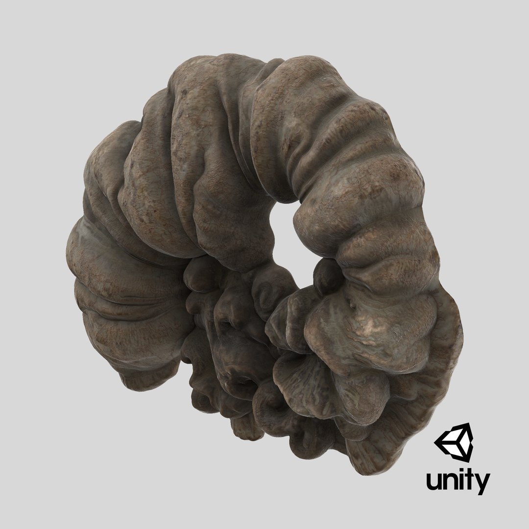 3D Fungus Fossil 110 Textured https://p.turbosquid.com/ts-thumb/ua/3vqp5b/gI/stemcell_unity_render/png/1730749534/1920x1080/fit_q87/b314be77fc1be4d464b91e2f429533f4e3d4104e/stemcell_unity_render.jpg