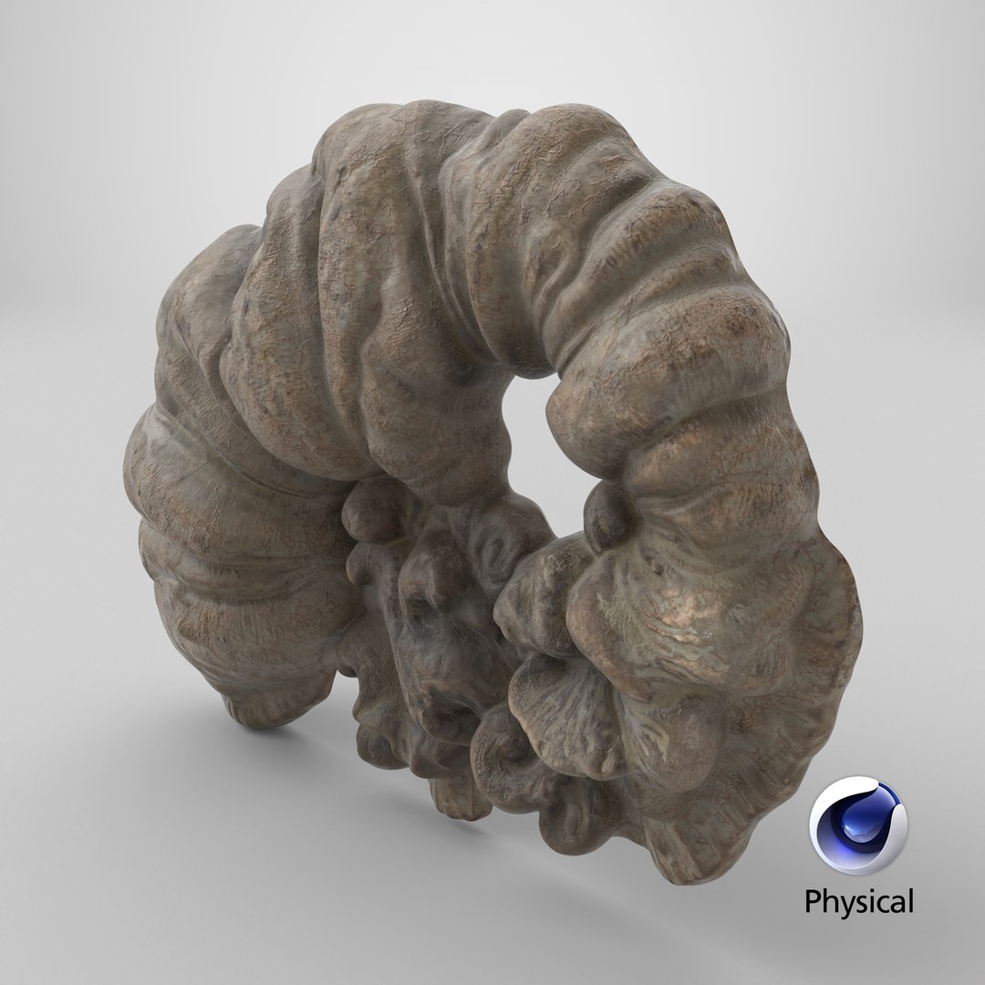 3D Fungus Fossil 110 Textured https://p.turbosquid.com/ts-thumb/ua/3vqp5b/tu/stemcell_cinema_4d_physical_render/png/1730749526/1920x1080/fit_q87/ad36bbffbe5828d360b964d326f7daa4c2461402/stemcell_cinema_4d_physical_render.jpg