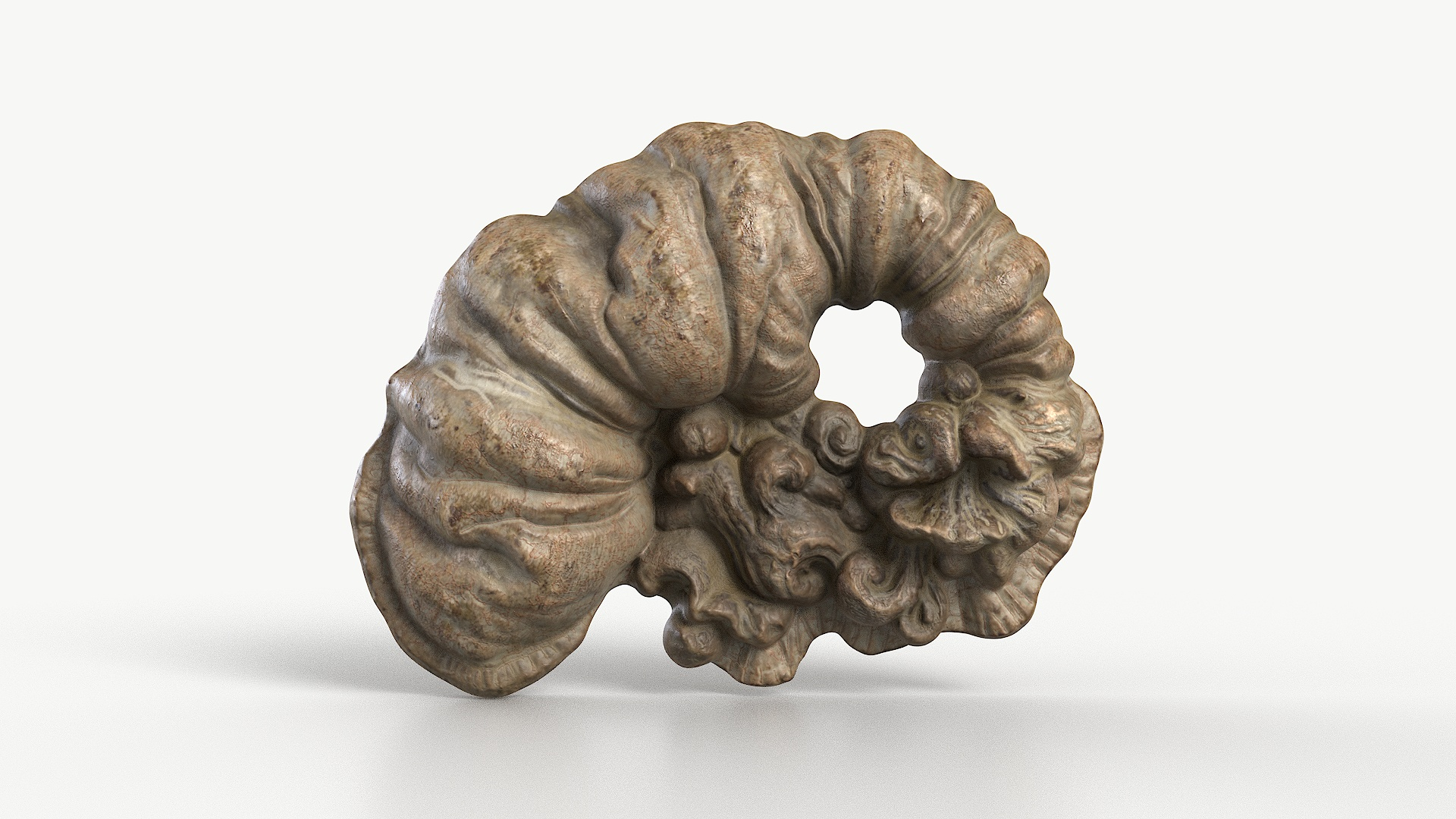 3D Fungus Fossil 110 Textured https://p.turbosquid.com/ts-thumb/ua/3vqp5b/yF/turntable/jpg/1730361602/1920x1080/turn_fit_q99/f59c72d00e92fd3aecea66fd6ea70601646cc721/turntable-1.jpg