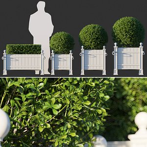 boxwood planter 3D model