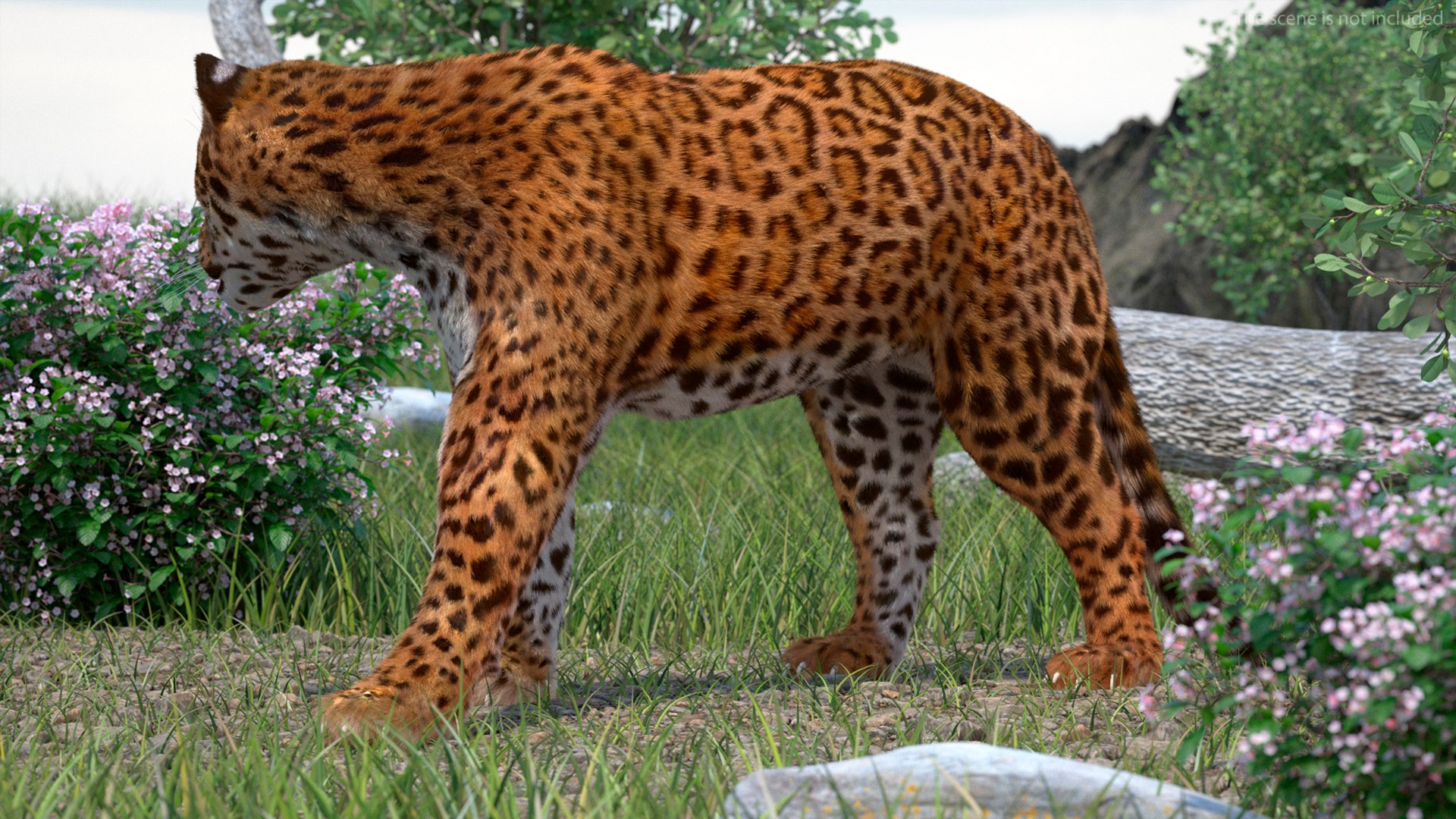 3D Jaguar Walking Pose Fur https://p.turbosquid.com/ts-thumb/ua/7xdBk2/5a/jaguarwalkingposefur3dsmodel004/jpg/1711587875/1920x1080/fit_q87/49e5bf92f61da32340547b94ed55db6db39bb1fe/jaguarwalkingposefur3dsmodel004.jpg