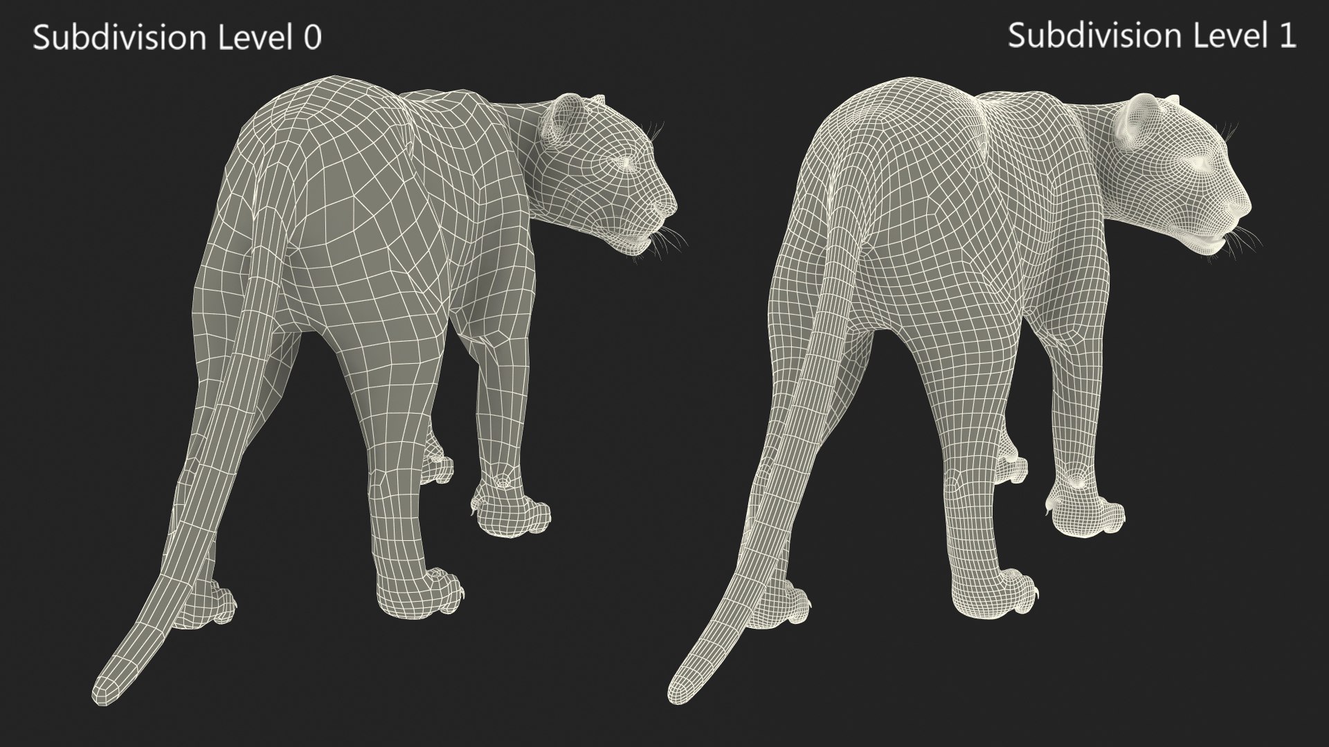 3D Jaguar Walking Pose Fur https://p.turbosquid.com/ts-thumb/ua/7xdBk2/7V/jaguarwalkingposefur3dsmodel024/jpg/1711587944/1920x1080/fit_q87/7ec1598ebd58acc80e75ed26a630265bc559e1c1/jaguarwalkingposefur3dsmodel024.jpg