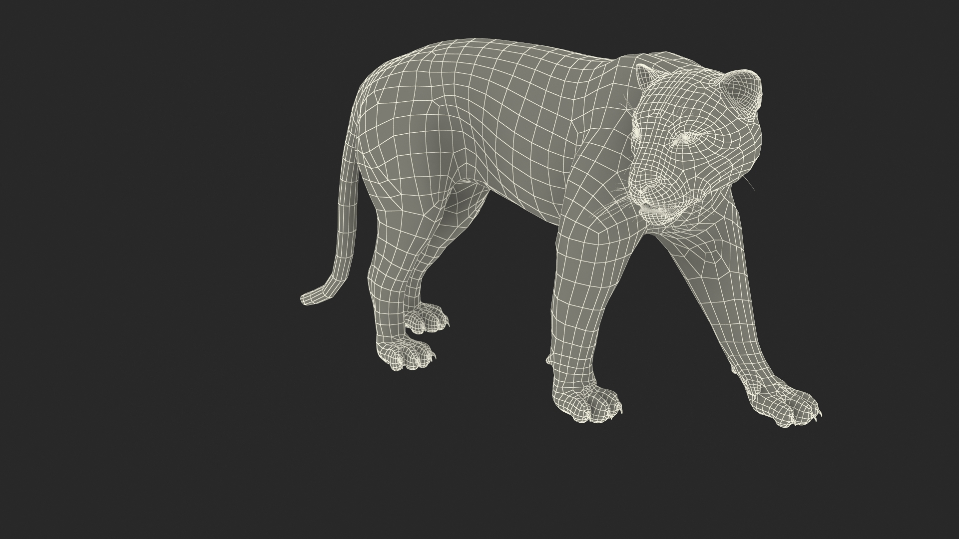 3D Jaguar Walking Pose Fur https://p.turbosquid.com/ts-thumb/ua/7xdBk2/DI/jaguar_walking_pose_fur_361/jpg/1711587699/1920x1080/turn_fit_q99/813e94ba811c77989d2cfbfced4ff3a9dc9425a8/jaguar_walking_pose_fur_361-1.jpg