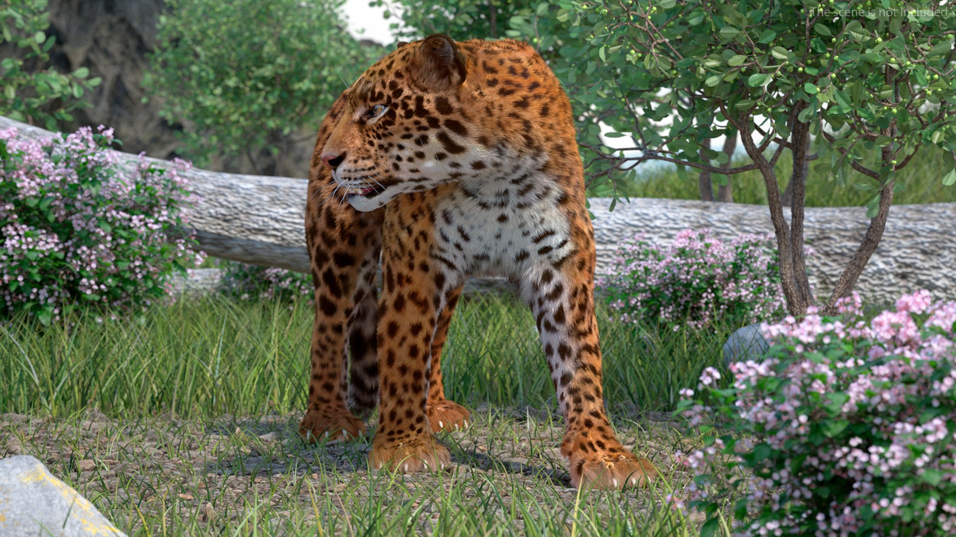 3D Jaguar Walking Pose Fur https://p.turbosquid.com/ts-thumb/ua/7xdBk2/E6/jaguarwalkingposefur3dsmodel002/jpg/1711587865/1920x1080/fit_q87/fa9acdcb2748504effafeef2270a3ef6f5b8ec8b/jaguarwalkingposefur3dsmodel002.jpg