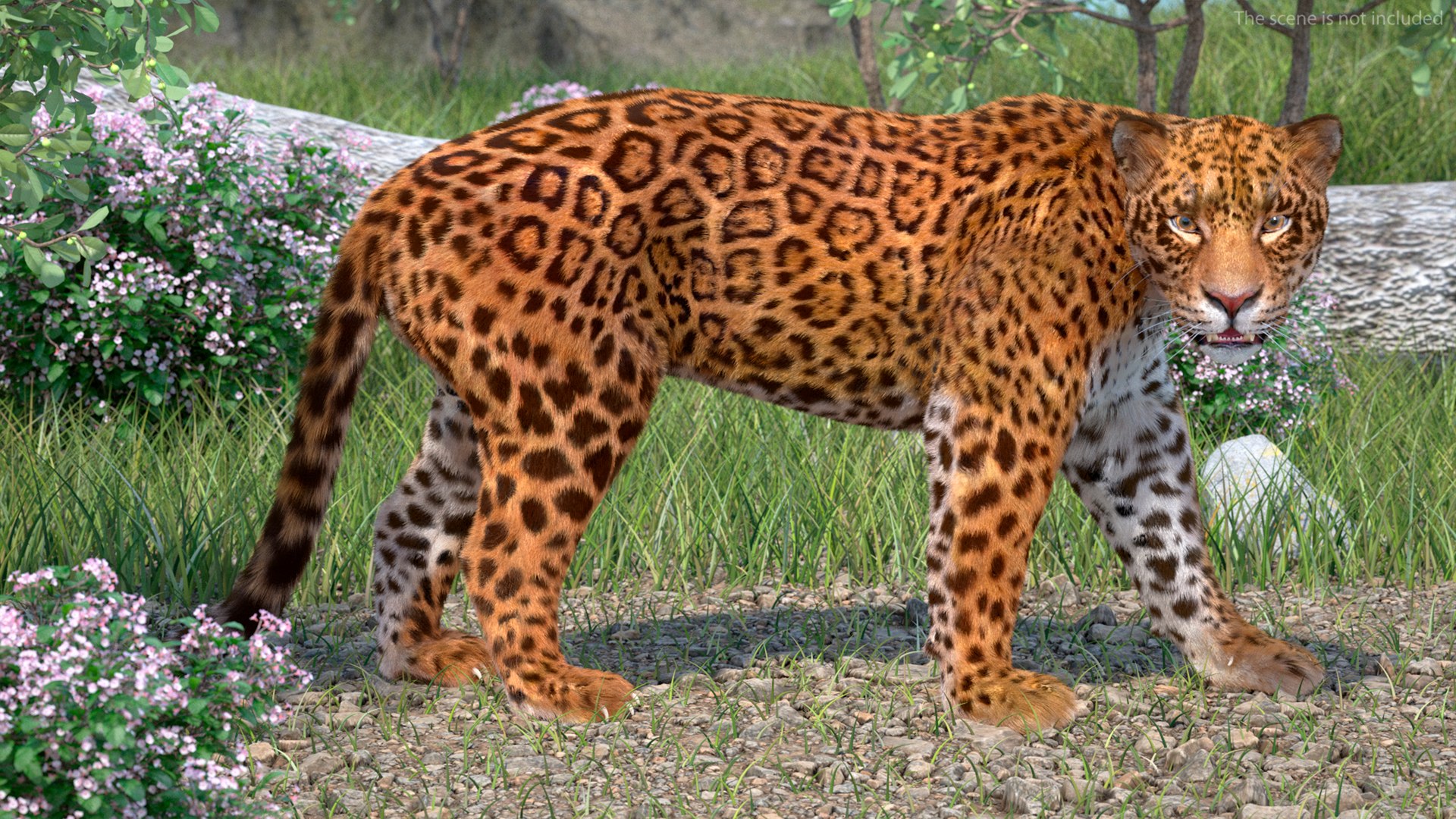 3D Jaguar Walking Pose Fur https://p.turbosquid.com/ts-thumb/ua/7xdBk2/Ex/jaguarwalkingposefur3dsmodel003/jpg/1711587870/1920x1080/fit_q87/24c7fd3a110643f4dbb81145e9987f8808a7ba75/jaguarwalkingposefur3dsmodel003.jpg