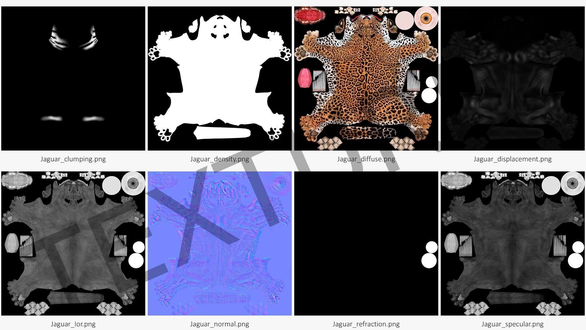 3D Jaguar Walking Pose Fur https://p.turbosquid.com/ts-thumb/ua/7xdBk2/HR/jaguarwalkingposefur3dsmodel026/jpg/1711587950/1920x1080/fit_q87/18d243c3febfb2bba3fe218b7d170943b26fbb4f/jaguarwalkingposefur3dsmodel026.jpg