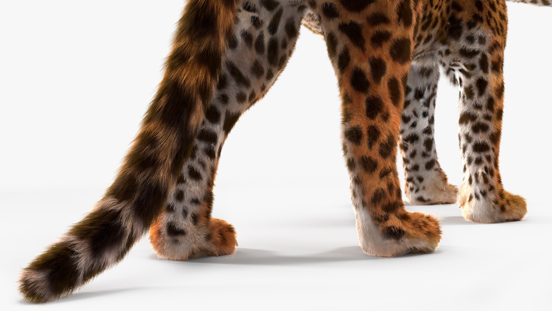 3D Jaguar Walking Pose Fur https://p.turbosquid.com/ts-thumb/ua/7xdBk2/QC/jaguarwalkingposefur3dsmodel020/jpg/1711587929/1920x1080/fit_q87/12159f9de989b1ae2087d08531c3205d38f85c30/jaguarwalkingposefur3dsmodel020.jpg