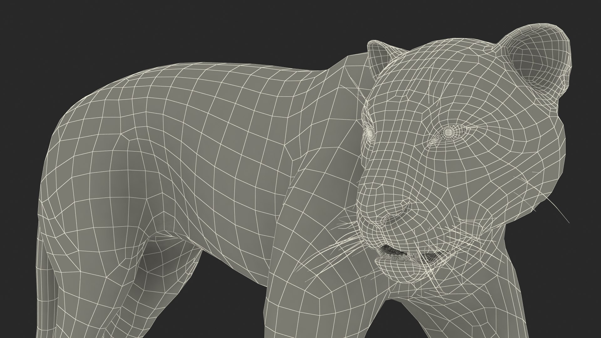 3D Jaguar Walking Pose Fur https://p.turbosquid.com/ts-thumb/ua/7xdBk2/R4/jaguarwalkingposefur3dsmodel032/jpg/1711587968/1920x1080/fit_q87/514c4e9f62fa495eace2195d7178eba0303f5b2d/jaguarwalkingposefur3dsmodel032.jpg