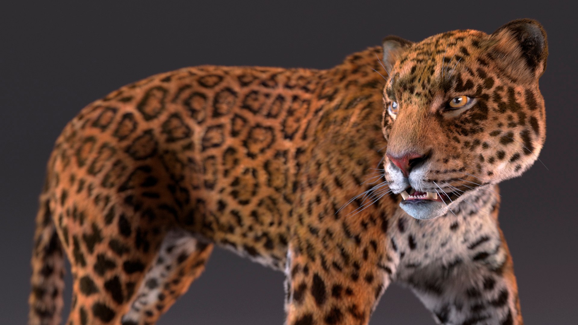 3D Jaguar Walking Pose Fur https://p.turbosquid.com/ts-thumb/ua/7xdBk2/RI/jaguarwalkingposefur3dsmodel009/jpg/1711587895/1920x1080/fit_q87/3472ce10ae37cf504e667d51426ccbe0d8bfad50/jaguarwalkingposefur3dsmodel009.jpg