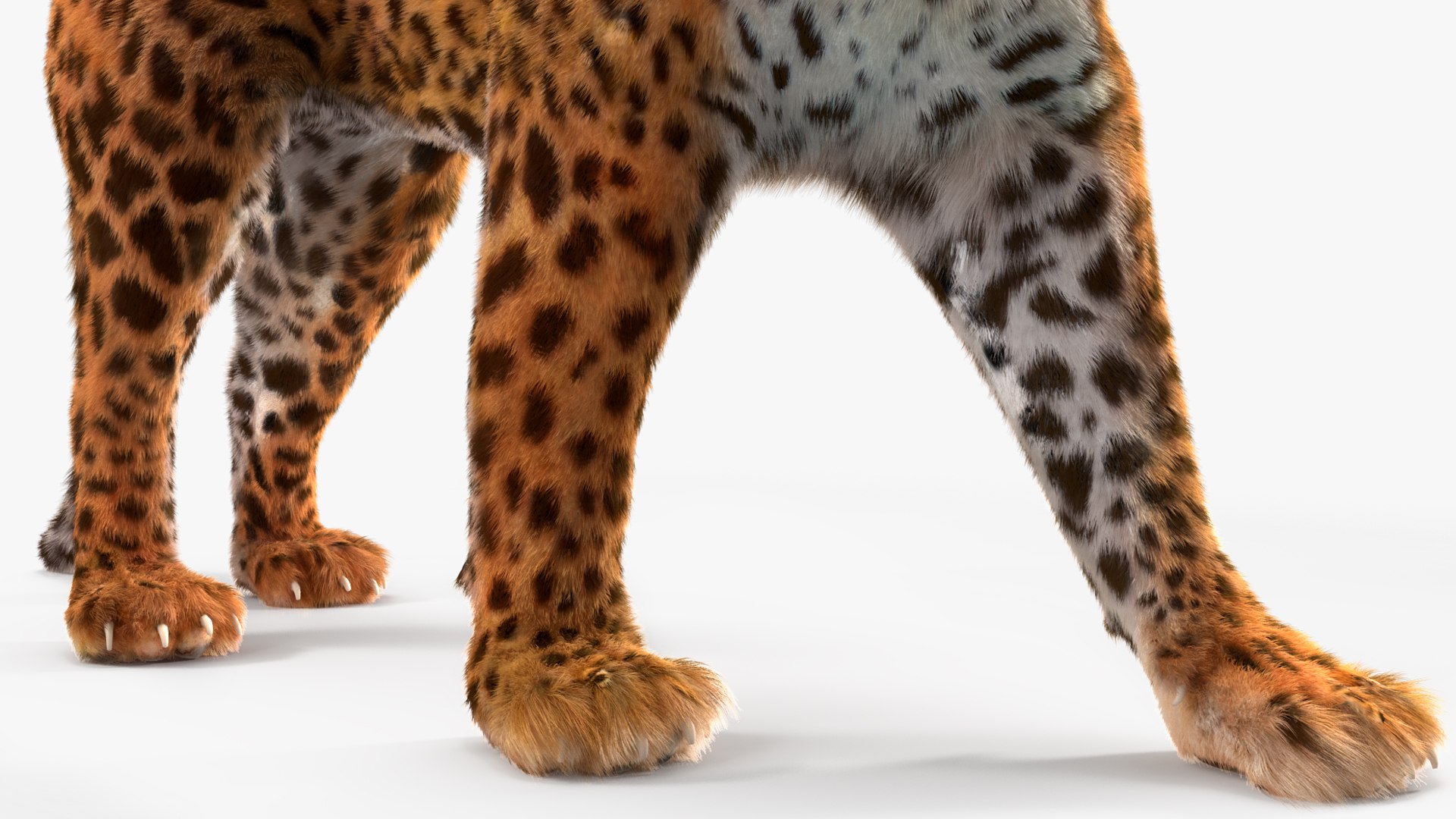 3D Jaguar Walking Pose Fur https://p.turbosquid.com/ts-thumb/ua/7xdBk2/Ty/jaguarwalkingposefur3dsmodel019/jpg/1711587926/1920x1080/fit_q87/e41b4cc5f9bf5bd5b131a6d4317b8af29a1752cf/jaguarwalkingposefur3dsmodel019.jpg