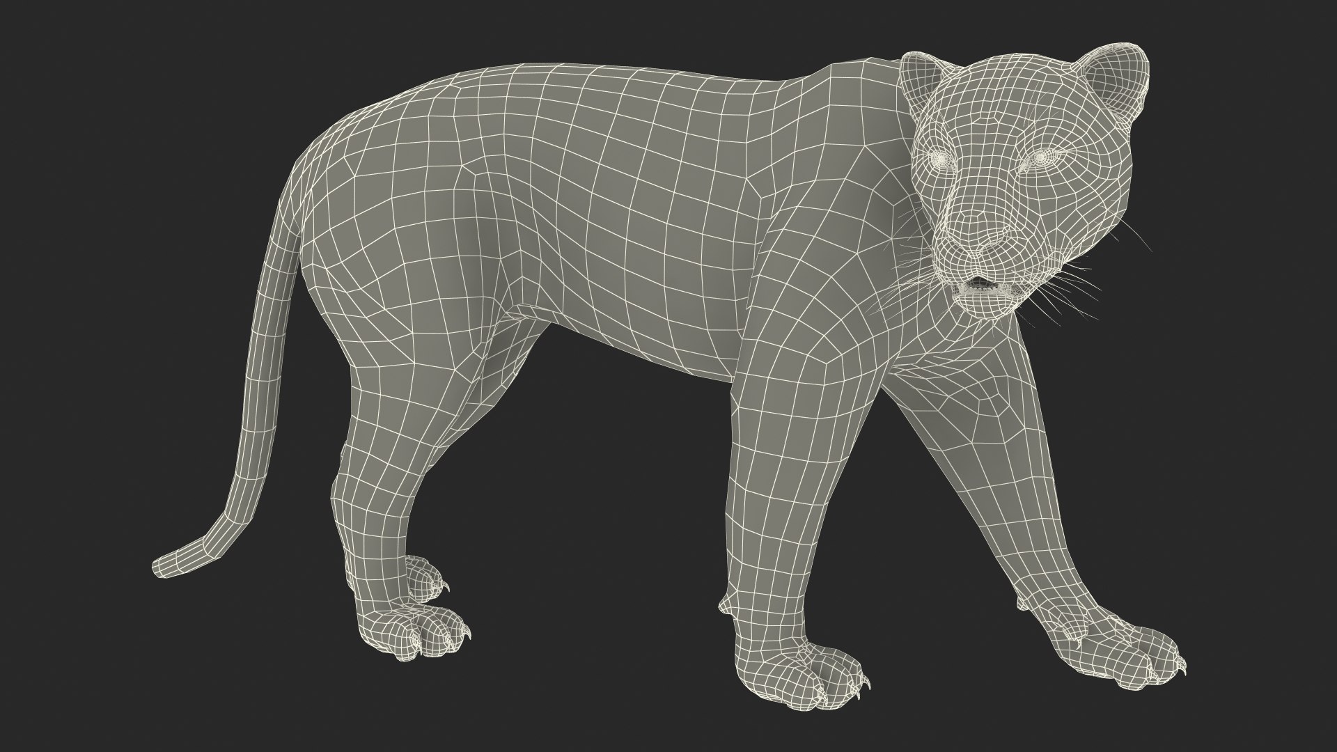 3D Jaguar Walking Pose Fur https://p.turbosquid.com/ts-thumb/ua/7xdBk2/bn/jaguarwalkingposefur3dsmodel028/jpg/1711587956/1920x1080/fit_q87/6a09a58ce9c5d44844752a3933af610dccaf5bb1/jaguarwalkingposefur3dsmodel028.jpg