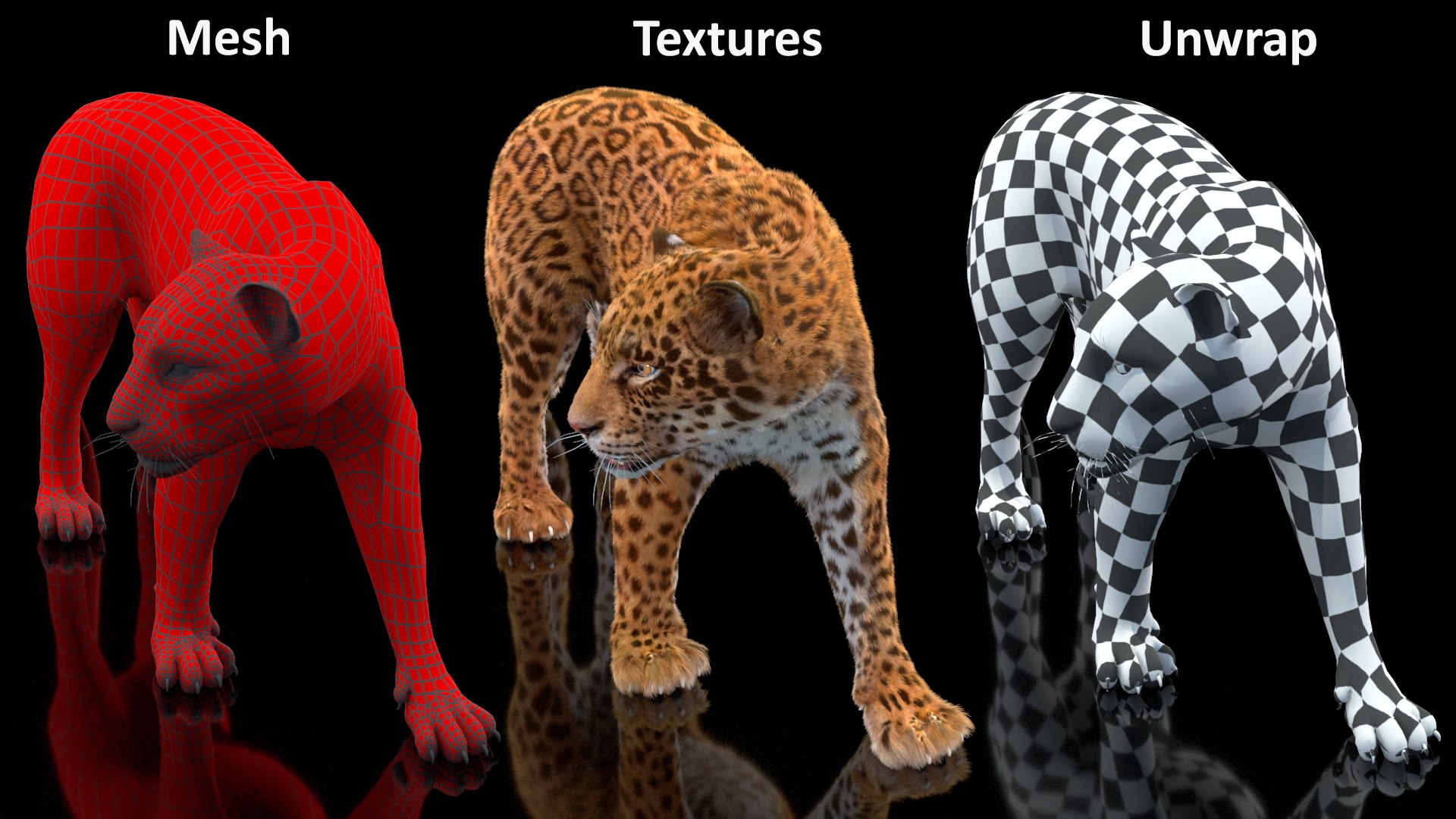 3D Jaguar Walking Pose Fur https://p.turbosquid.com/ts-thumb/ua/7xdBk2/eS/jaguarwalkingposefur3dsmodel023/jpg/1711587939/1920x1080/fit_q87/378443461bc271eb88d0b4c6eef483b62edbc5b8/jaguarwalkingposefur3dsmodel023.jpg