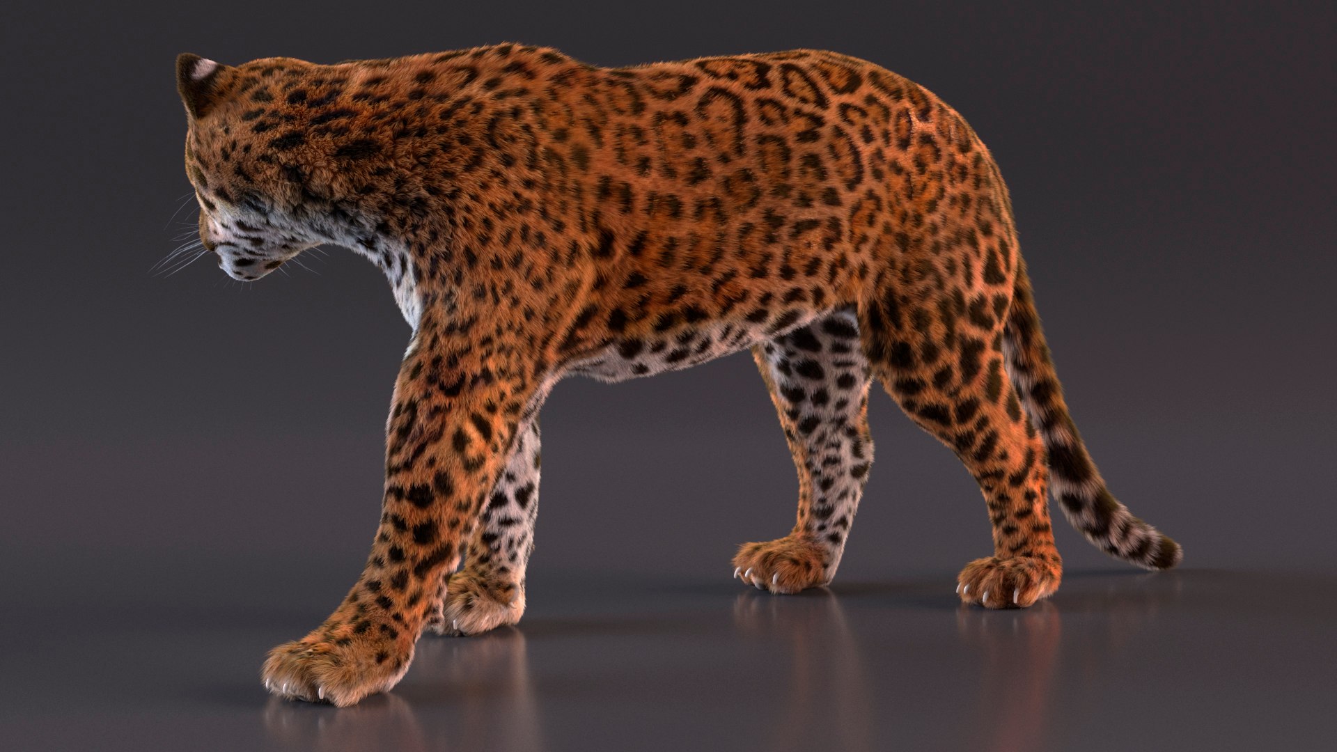 3D Jaguar Walking Pose Fur https://p.turbosquid.com/ts-thumb/ua/7xdBk2/eX/jaguarwalkingposefur3dsmodel007/jpg/1711587888/1920x1080/fit_q87/c8cc0aa886eb0864d032ac2e05e5f1774092658b/jaguarwalkingposefur3dsmodel007.jpg
