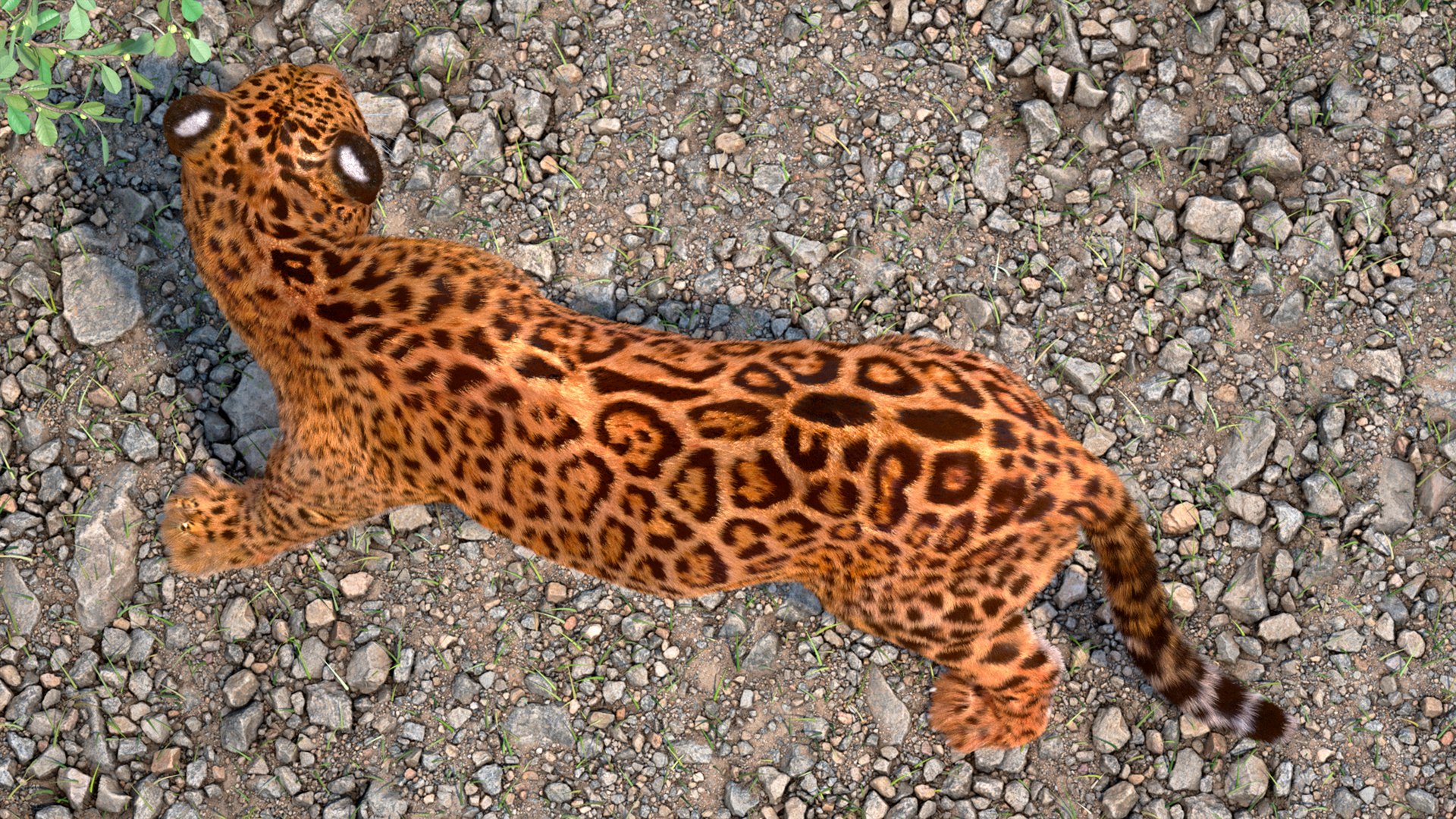 3D Jaguar Walking Pose Fur https://p.turbosquid.com/ts-thumb/ua/7xdBk2/f0/jaguarwalkingposefur3dsmodel005/jpg/1711587880/1920x1080/fit_q87/153e39e2415a1312906b3dd59e560f27e2b82425/jaguarwalkingposefur3dsmodel005.jpg