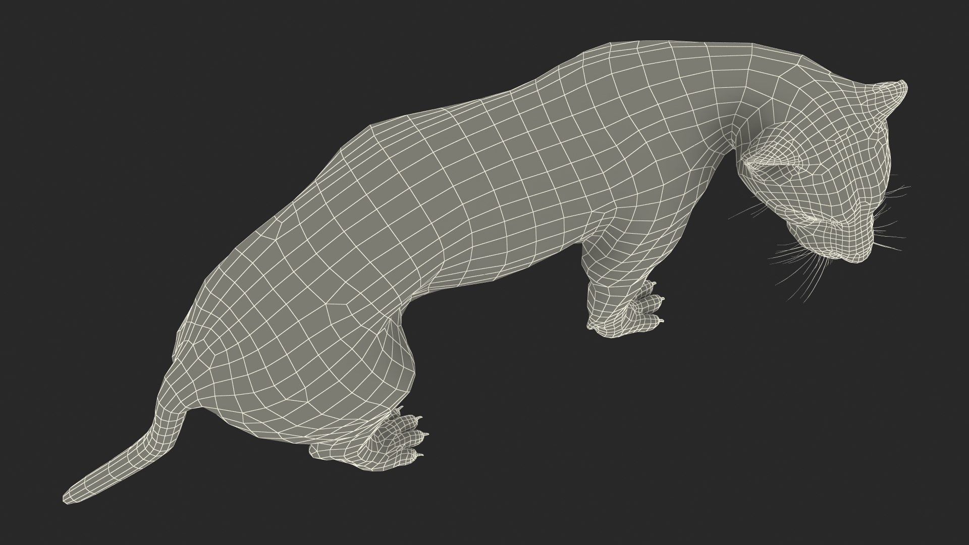 3D Jaguar Walking Pose Fur https://p.turbosquid.com/ts-thumb/ua/7xdBk2/gg/jaguarwalkingposefur3dsmodel030/jpg/1711587962/1920x1080/fit_q87/82fa17baebb44c3a8b01a3060df2857771053047/jaguarwalkingposefur3dsmodel030.jpg