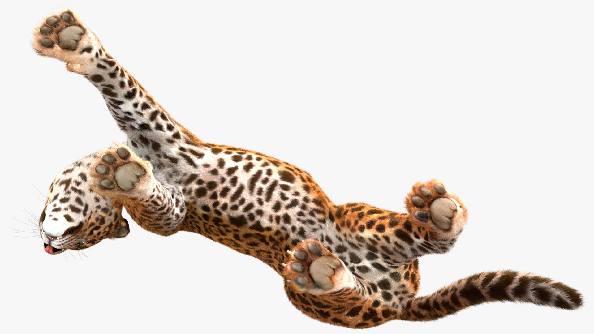 3D Jaguar Walking Pose Fur https://p.turbosquid.com/ts-thumb/ua/7xdBk2/rP/jaguarwalkingposefur3dsmodel013/jpg/1711587908/1920x1080/fit_q87/4e4b78b9a38c43c9e75d3c612eeae3aa4e3240f8/jaguarwalkingposefur3dsmodel013.jpg