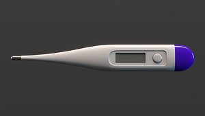 Digital Thermometer 2 model
