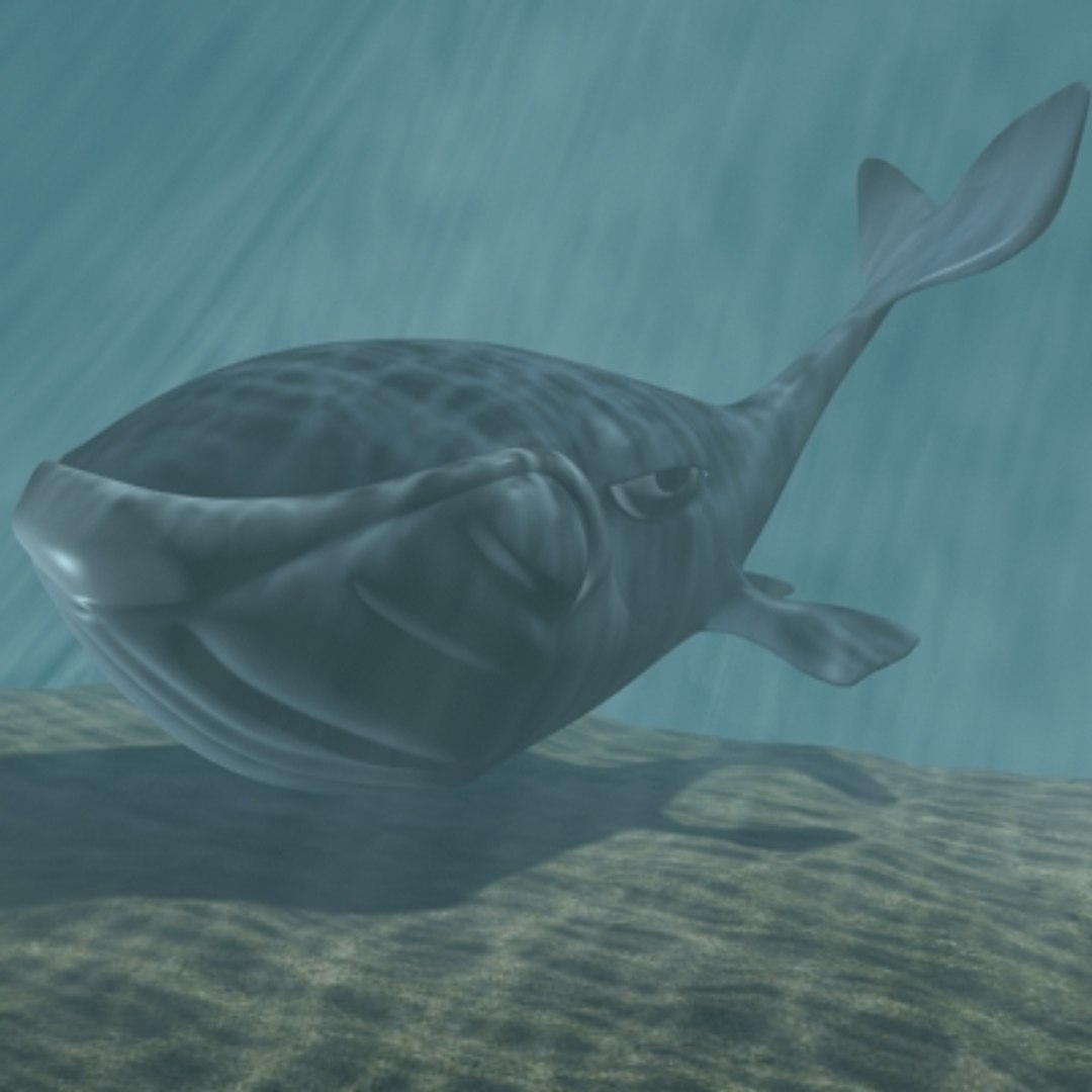 toon whale 3d model https://p.turbosquid.com/ts-thumb/ua/PkKt9p/6c7lHRVy/whale1/jpg/1365444847/1920x1080/fit_q87/ef16ebfddd2de3d016eef9d4a389a85c2faeea15/whale1.jpg