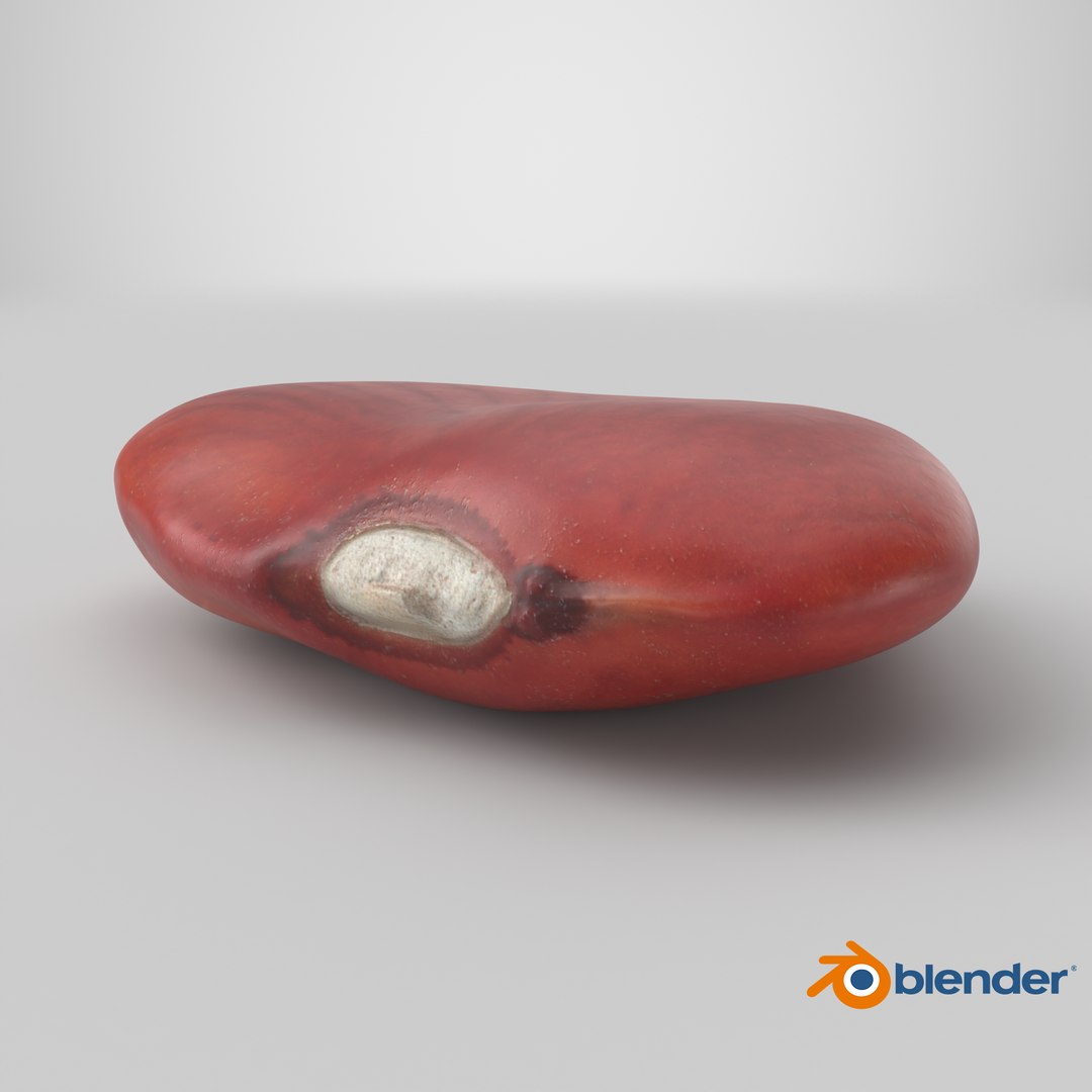 Red Flat Bean 01 - 3D Scanned 3D model https://p.turbosquid.com/ts-thumb/ua/SY6JQF/9F/stemcell_blender_cycles_render/png/1776695903/1920x1080/fit_q87/de92524bc4c83331c7b9a0eb4772d2c64d83b197/stemcell_blender_cycles_render.jpg