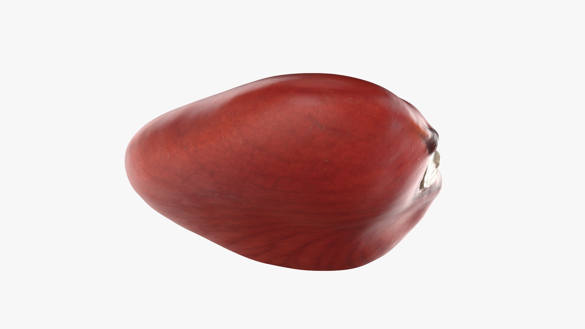 Red Flat Bean 01 - 3D Scanned 3D model https://p.turbosquid.com/ts-thumb/ua/SY6JQF/Dt/redbeanflat01_0011/png/1775510639/1920x1080/fit_q87/c9a1078a3dbf46b775f31e2b3bf16df49daf6cdf/redbeanflat01_0011.jpg