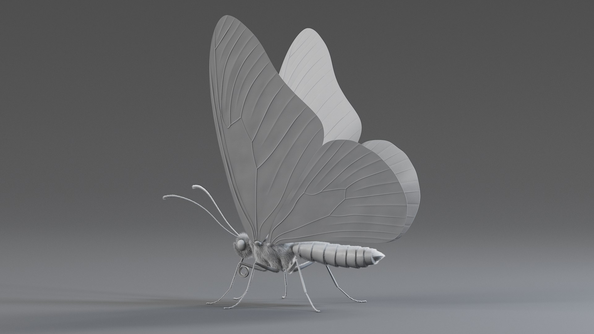 Monarch Butterfly Rigged Xgen 3D https://p.turbosquid.com/ts-thumb/ua/Yv30sV/2v/monarch_rigged_16/jpg/1760426877/1920x1080/fit_q87/d49bfaaed37d16c5727ca1c08749734b12d76edf/monarch_rigged_16.jpg