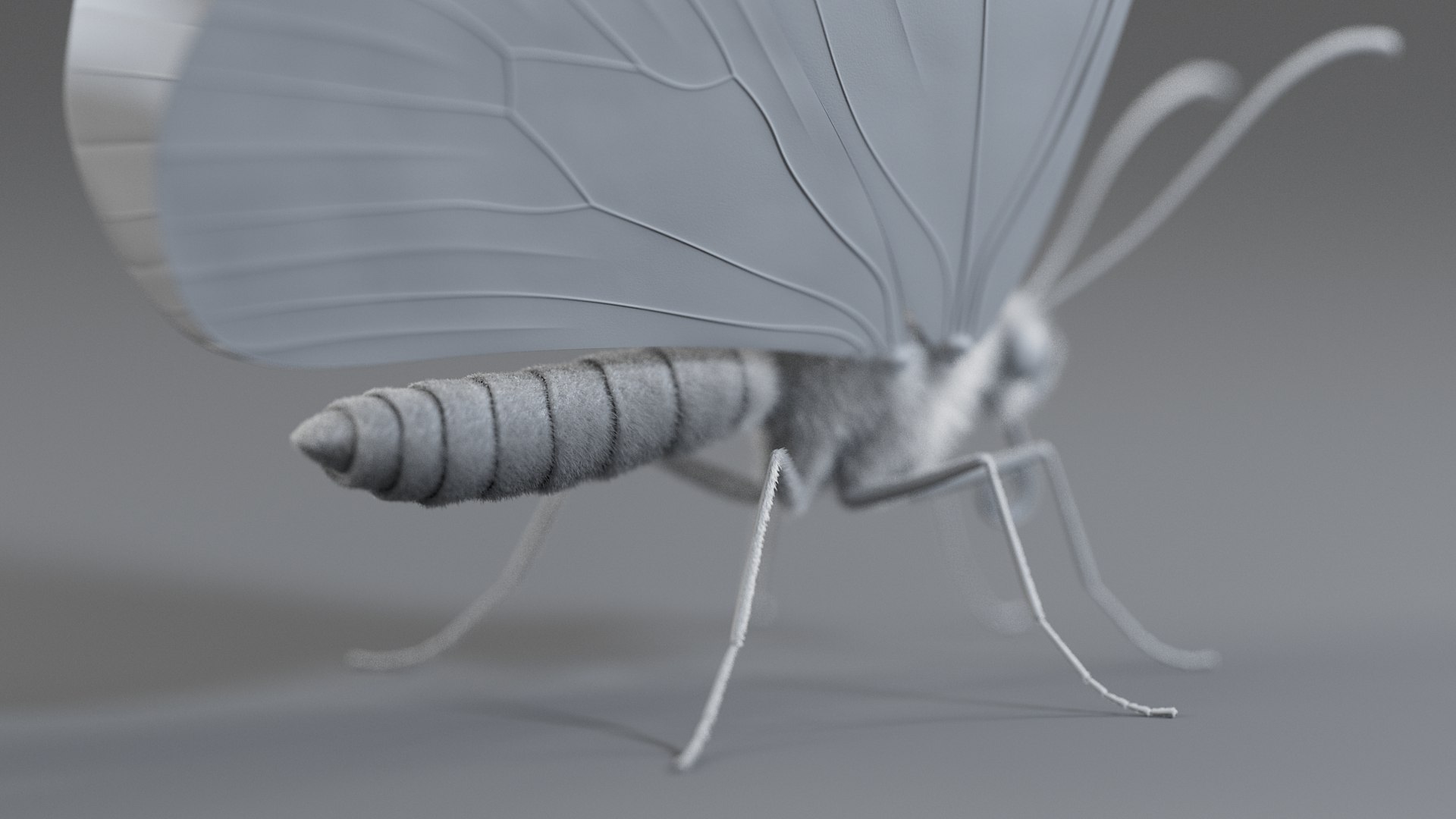 Monarch Butterfly Rigged Xgen 3D https://p.turbosquid.com/ts-thumb/ua/Yv30sV/3o/monarch_rigged_19/jpg/1760426881/1920x1080/fit_q87/b3e3b5f2f1d44c1d6a5cc9c93c824b6990a78b8f/monarch_rigged_19.jpg